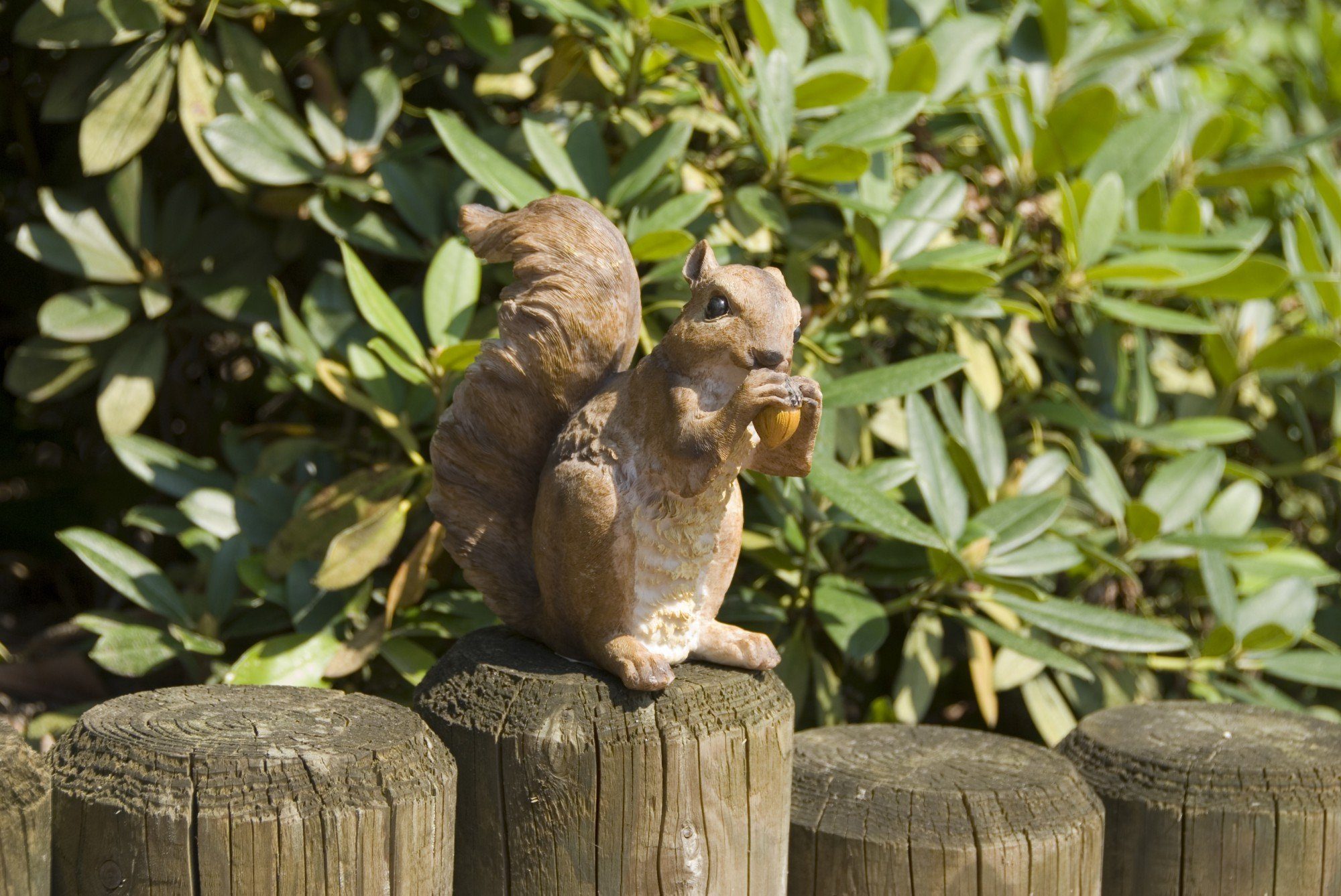 St), Wetterfest GartenHero Eichhörnchen Dekofigur Dekoration (1 Gartenfigur Garten, Figur Gartenfigur Tierfigur Gartenfigur