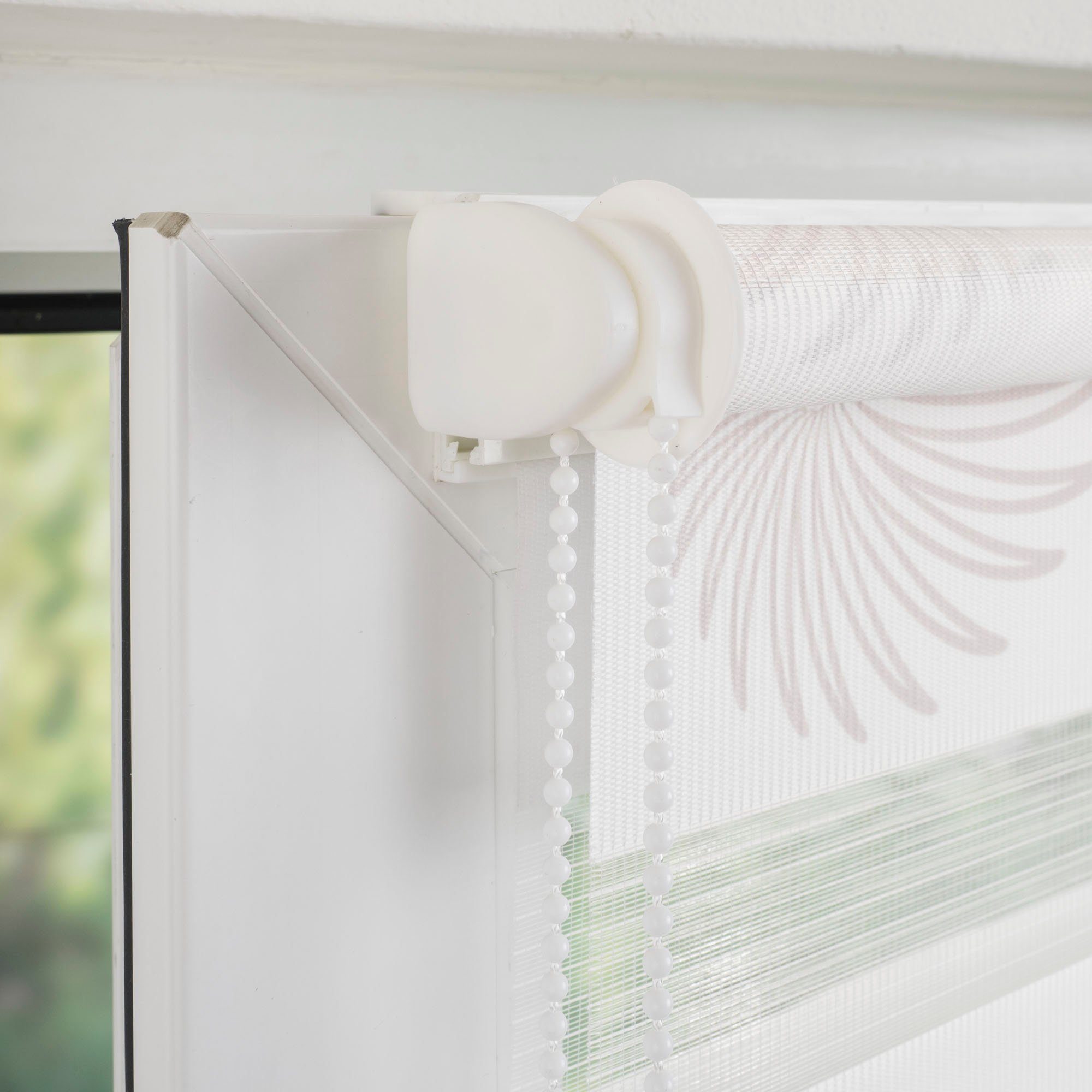 Seitenzugrollo Aster, Liedeco, Lichtschutz, ohne Bohren, günstig online kaufen