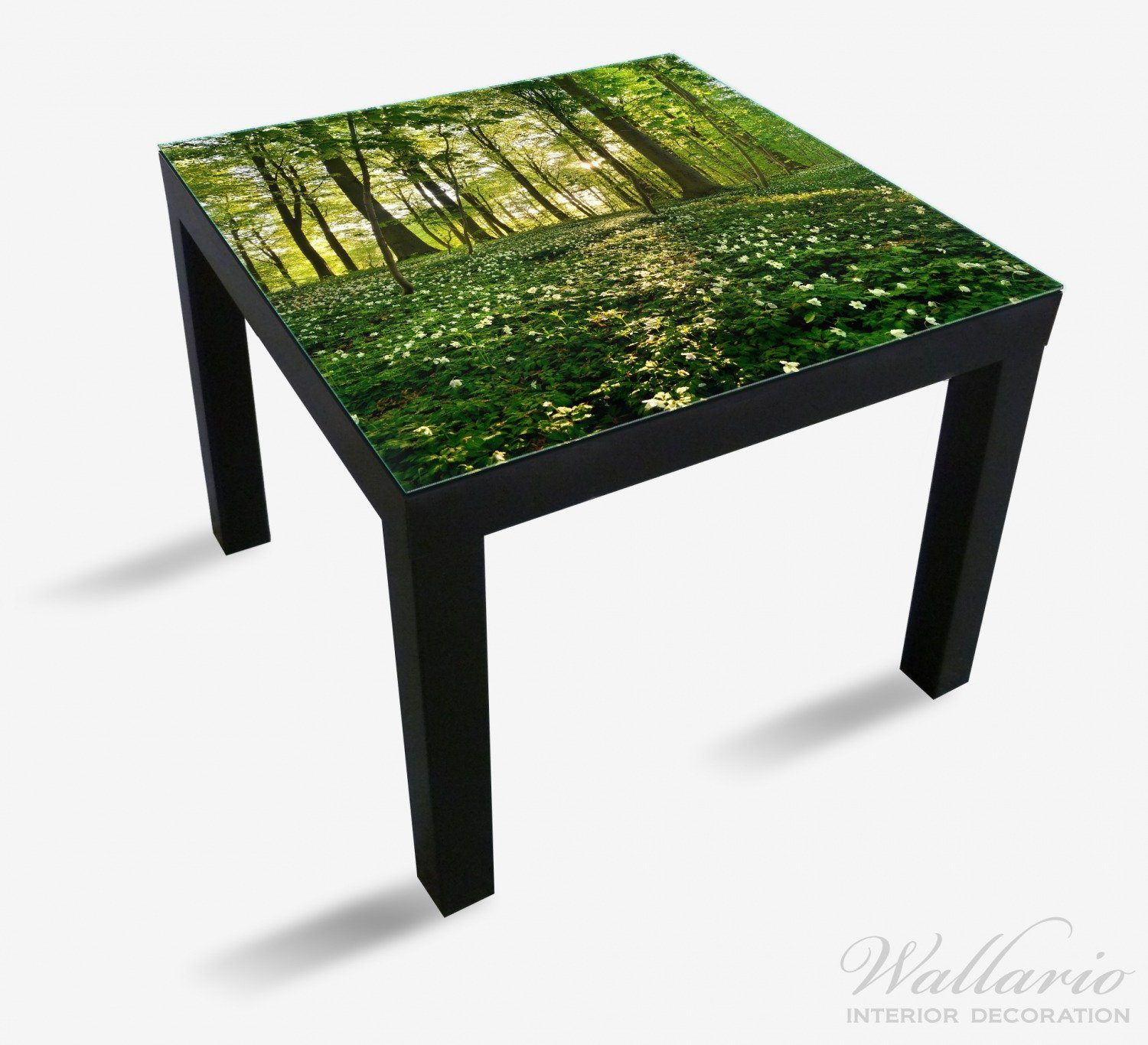 geeignet Wallario Tischplatte und Tisch Waldanemonen Sonnenstrahlen Ikea im für St), Wald Lack (1