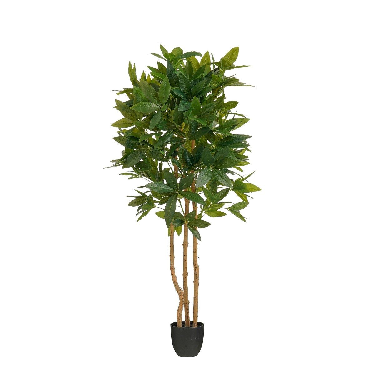 Kunstpflanze Mica Decorations Aralie In Topf gruen - h150xd70cm, Mica Decorations, Höhe 150 cm