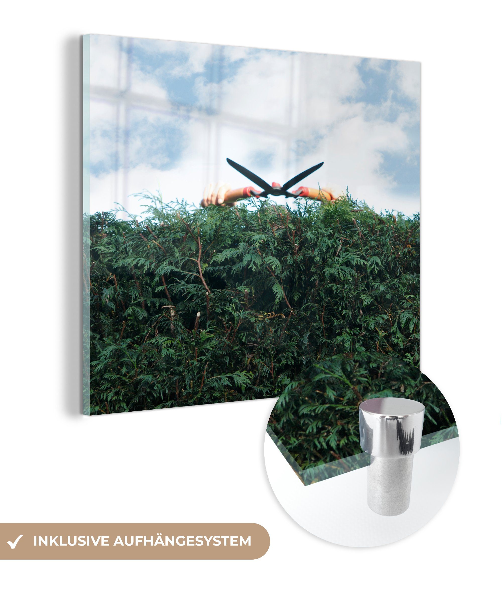 MuchoWow Acrylglasbild Eine Hecke und eine Heckenschere, (1 St), Glasbilder - Bilder auf Glas Wandbild - Foto auf Glas - Wanddekoration | Bilder