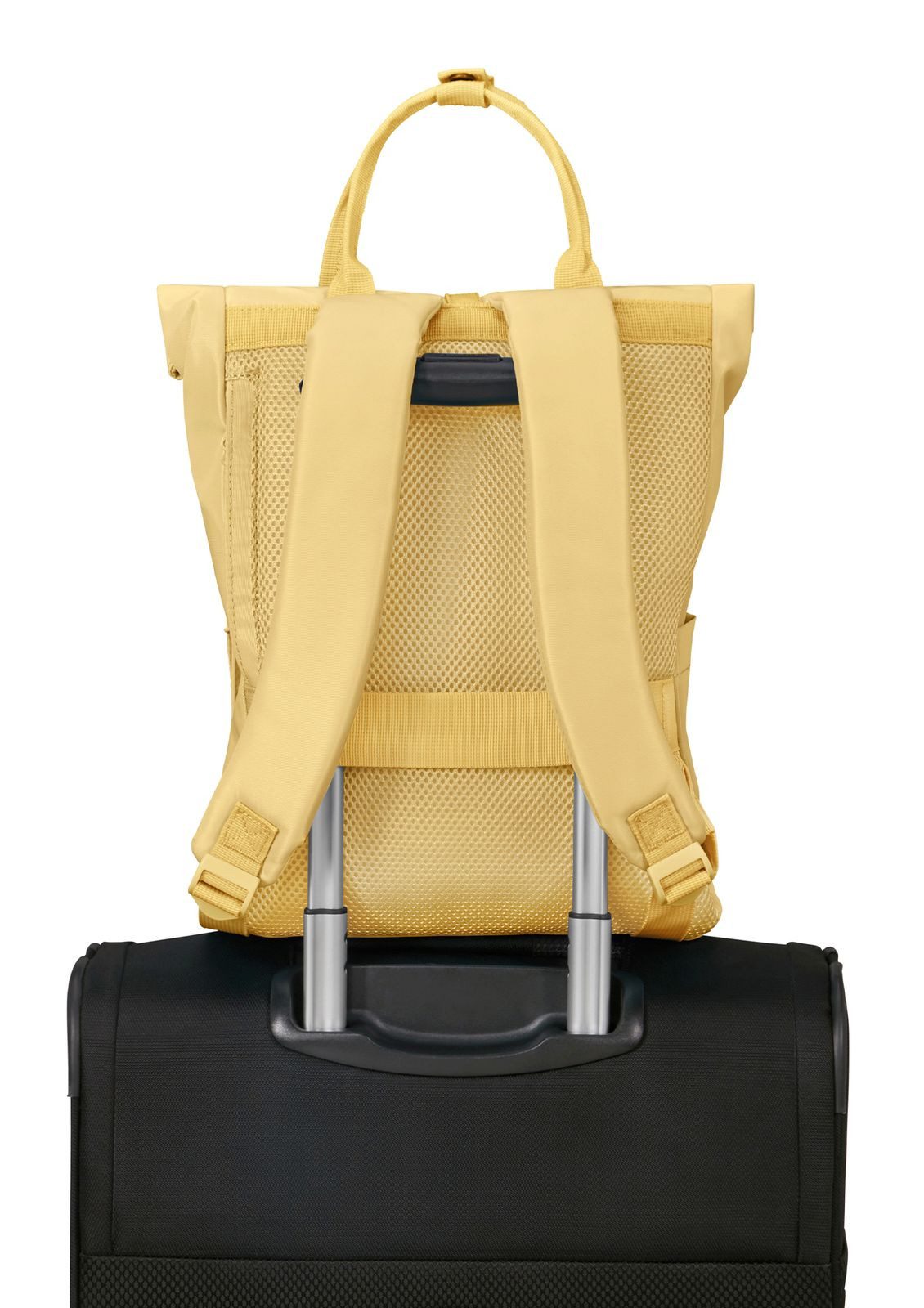 American Tourister® Rucksack Backpack günstig online kaufen