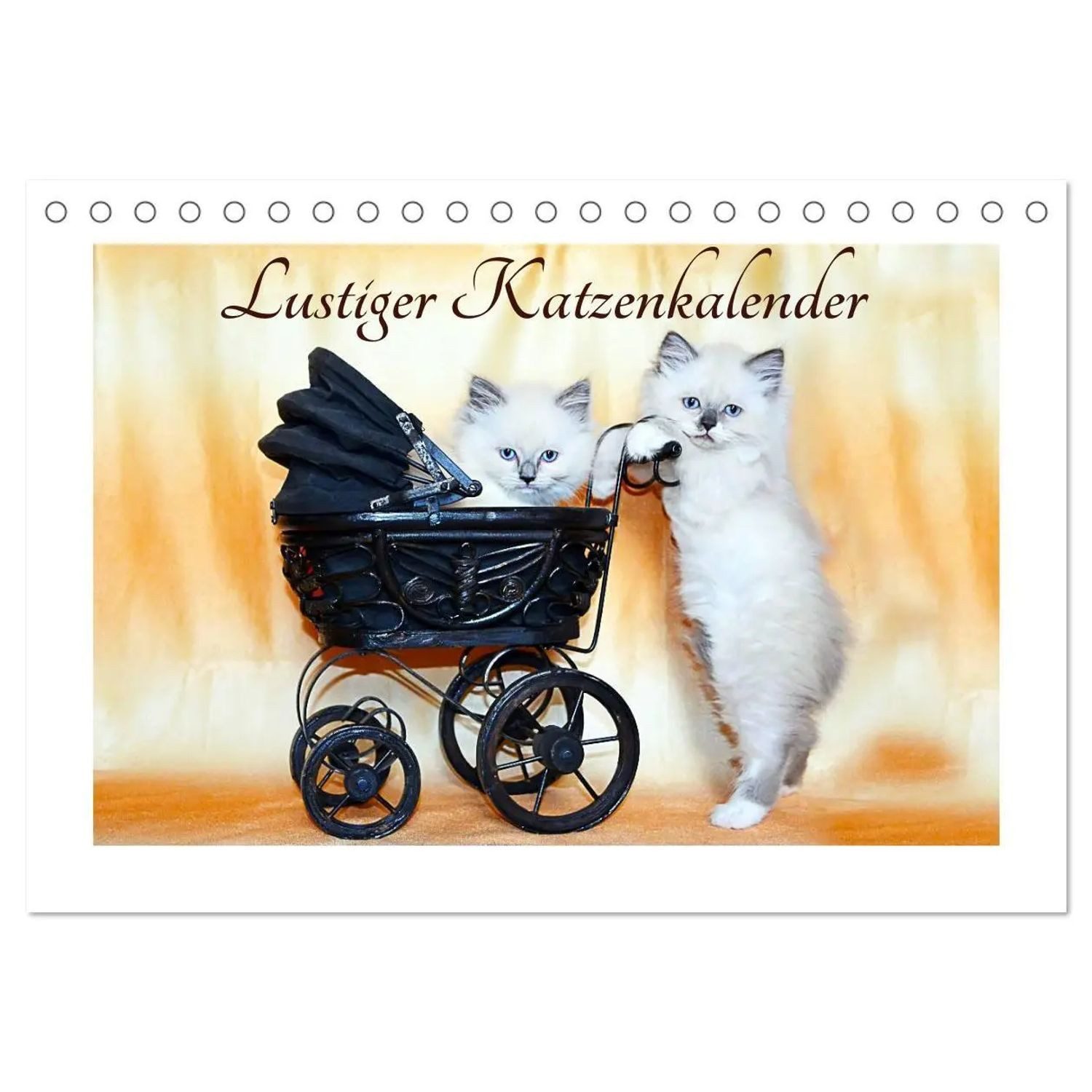 CALVENDO Monatskalender Lustiger Katzenkalender (Tischkalender 2026 DIN A5 quer), CALVENDO...