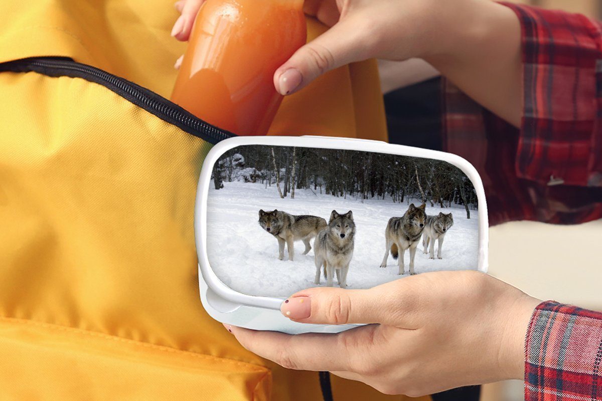 Wolf Schnee für Kinder Brotbox - und Brotdose, Erwachsene, - MuchoWow weiß Jungs Lunchbox Kanada, (2-tlg), Kunststoff, und für Mädchen