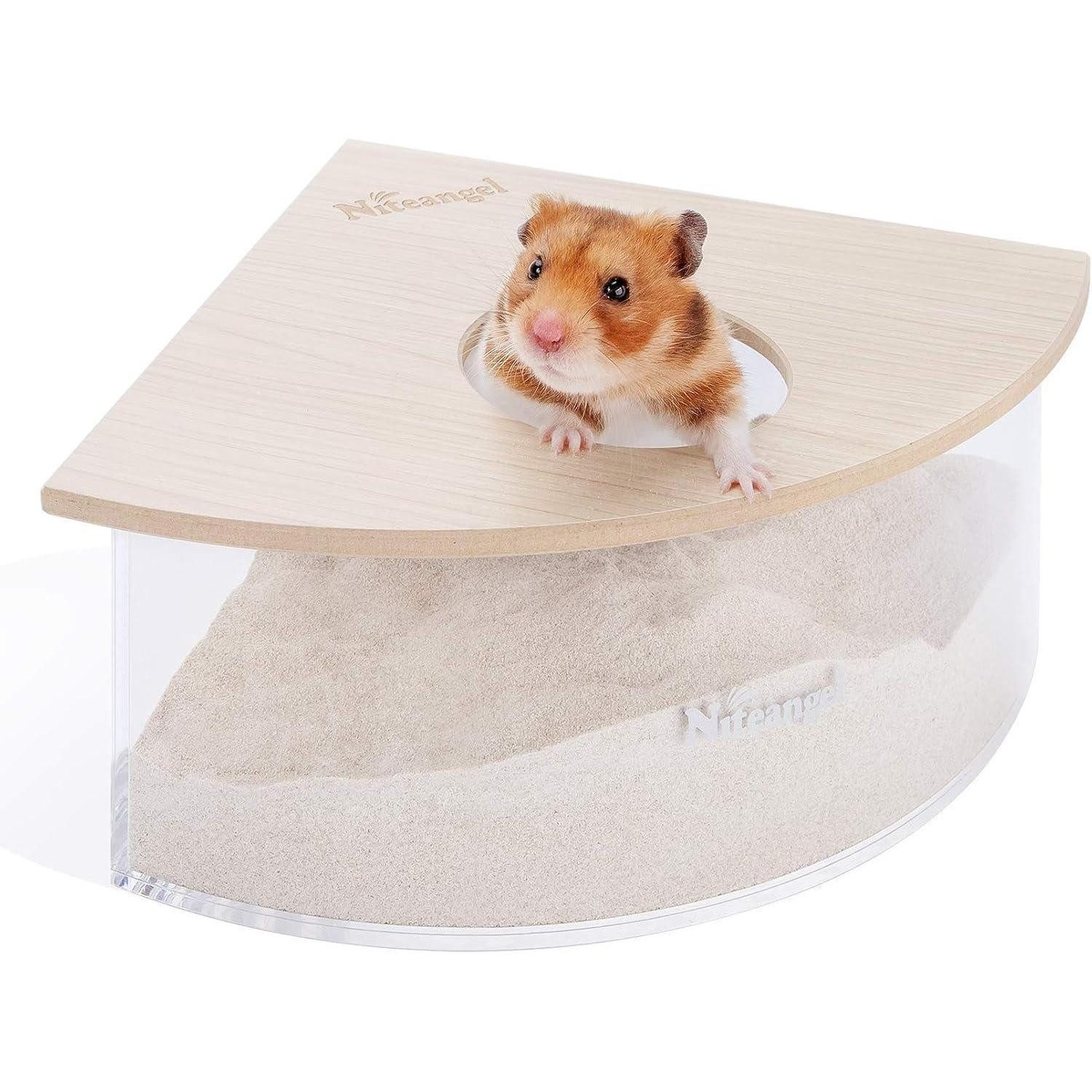 LuxusKollektion Nagerhaus Kleintiersandbad Acryl Box Hamster Mäuse Lemminge Triangle Burlywood