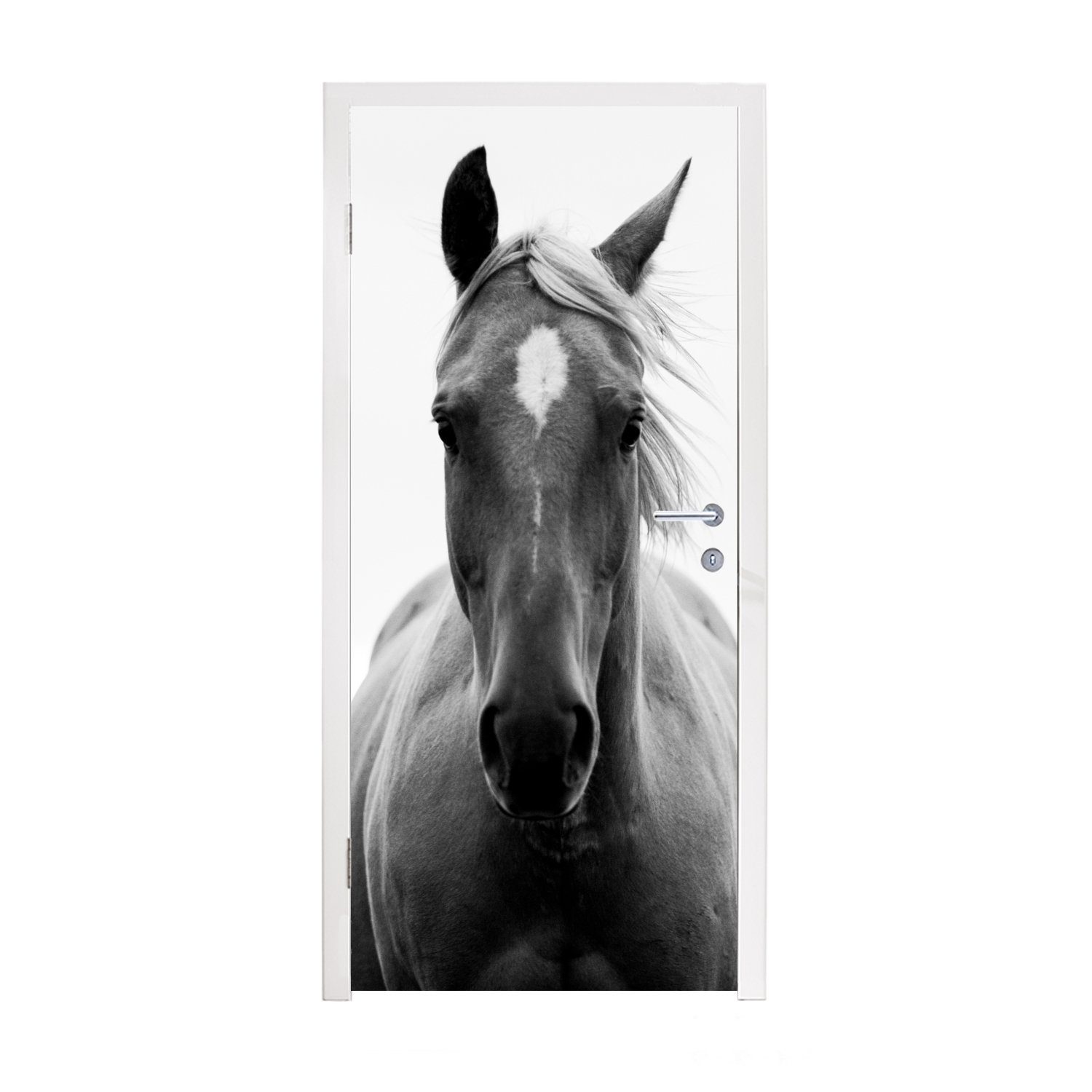 Pferd Tür, Türtapete Schwarz Fototapete - - (1 - cm MuchoWow Matt, Porträt, 75x205 bedruckt, St), Türaufkleber, Weiß für