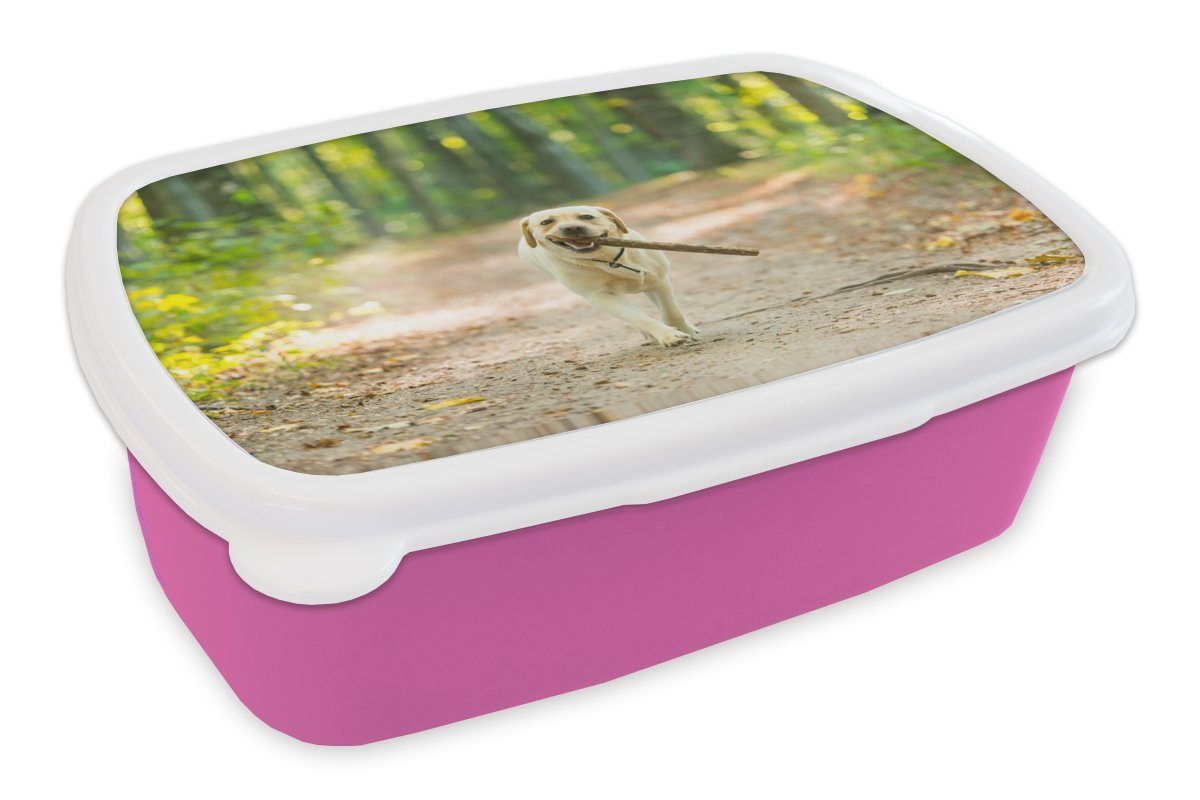 MuchoWow Lunchbox Hund - Wald - Bäume, Kunststoff, (2-tlg), Brotbox für Erwachsene, Brotdose Kinder, Snackbox, Mädchen, Kunststoff rosa