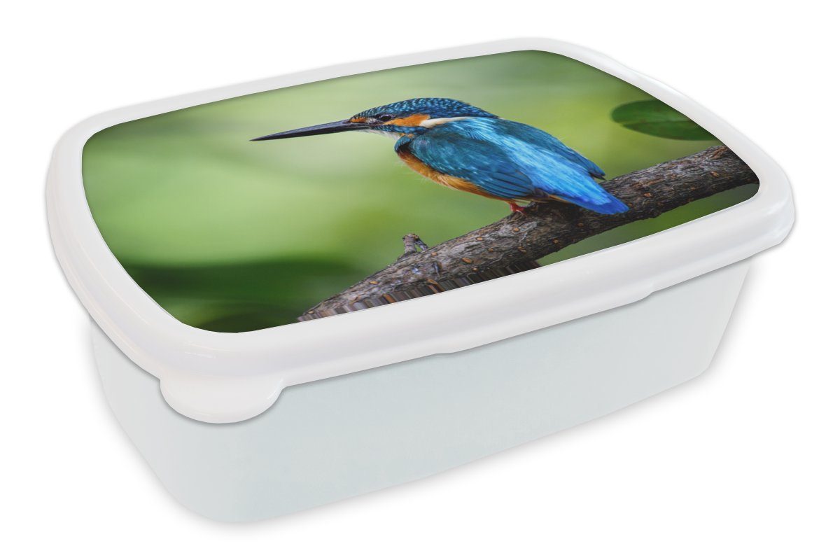 für MuchoWow Jungs für Lunchbox Brotdose, und Kunststoff, (2-tlg), weiß Kinder Zweig Mädchen Brotbox Eisvogel Erwachsene, - und Blau, -