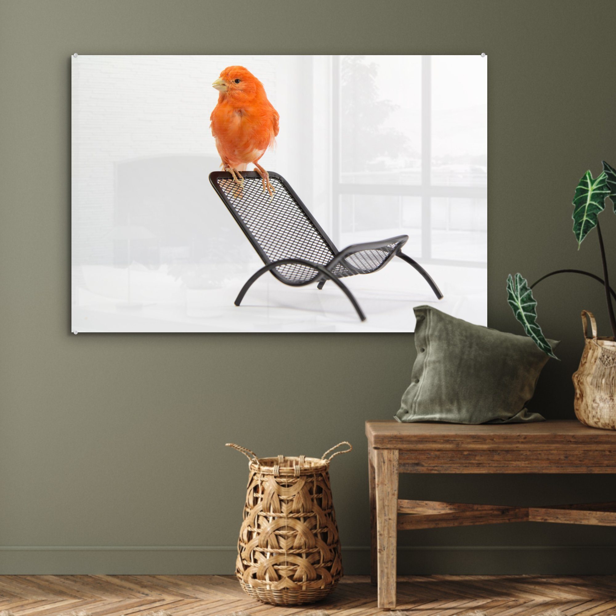 MuchoWow Acrylglasbild Roter (1 auf Schlafzimmer Wohnzimmer & Stuhl, einem Acrylglasbilder Kanarienvogel St)