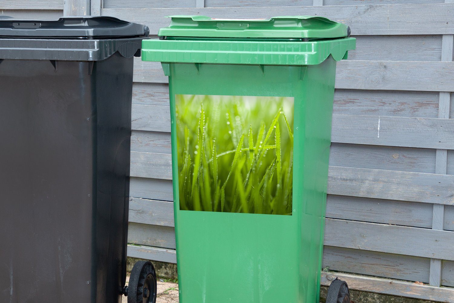 Container, Frühe Tautropfen Mülltonne, Mülleimer-aufkleber, MuchoWow St), auf Wandsticker Abfalbehälter Gras Sticker, (1