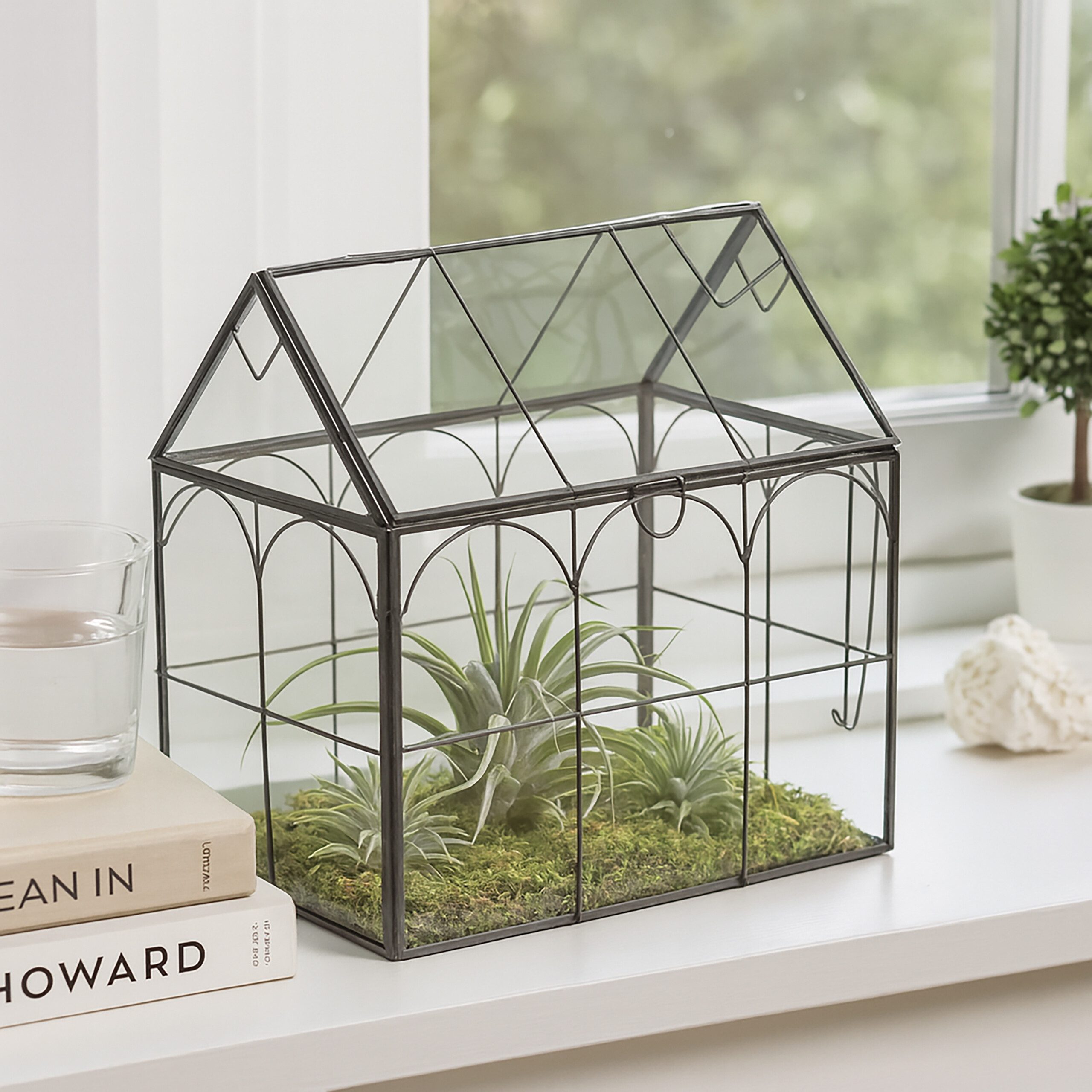 relaxdays Dekovase Pflanzenterrarium Glas Hausform (1 St), schwarz günstig online kaufen