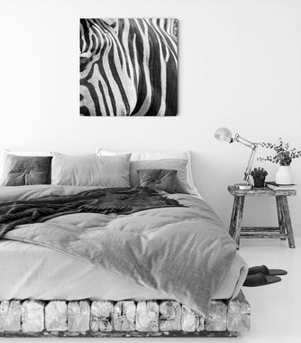 Pixxprint Leinwandbild Zebra Porträt, Zebra Porträt (1 St), Leinwandbild fertig bespannt, inkl. Zackenaufhänger