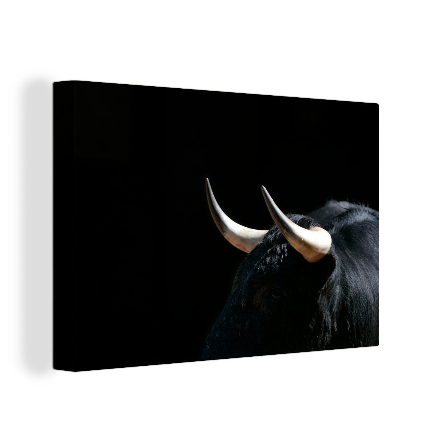 OneMillionCanvasses® Leinwandbild Ein Foto von einem schwarzen Stier vor einem schwarzen Hintergrund, (1 St), Wandbild für alle Wohnbereiche, Gemälde, XXL, großes, 120x80 cm
