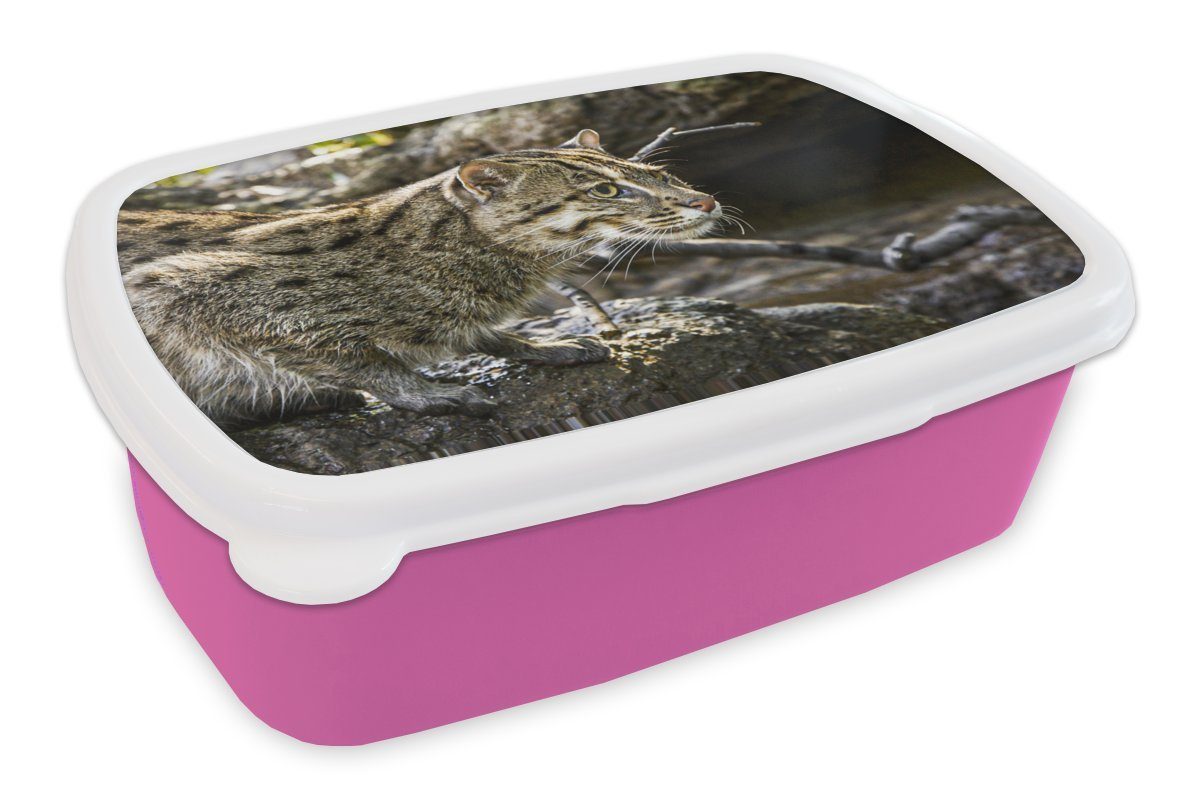 MuchoWow Lunchbox Ozelot Kunststoff, - - für (2-tlg), Kunststoff Erwachsene, Brotbox Mädchen, Kinder, Wasser Stein, Snackbox, rosa Brotdose