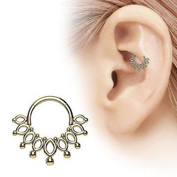 Taffstyle Nasenpiercing Septum Piercing Ring Segmentring Clicker Scharnier Krone Knorpel, Nasenpiercing Nasenring Ohrpiercing Ohr Nase Tragus Helix Brust Intim