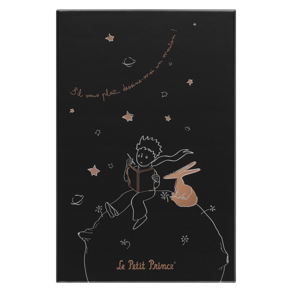 MOLESKINE Notizbuch "Der kleine Prinz" / Hardcover / Large / Liniert