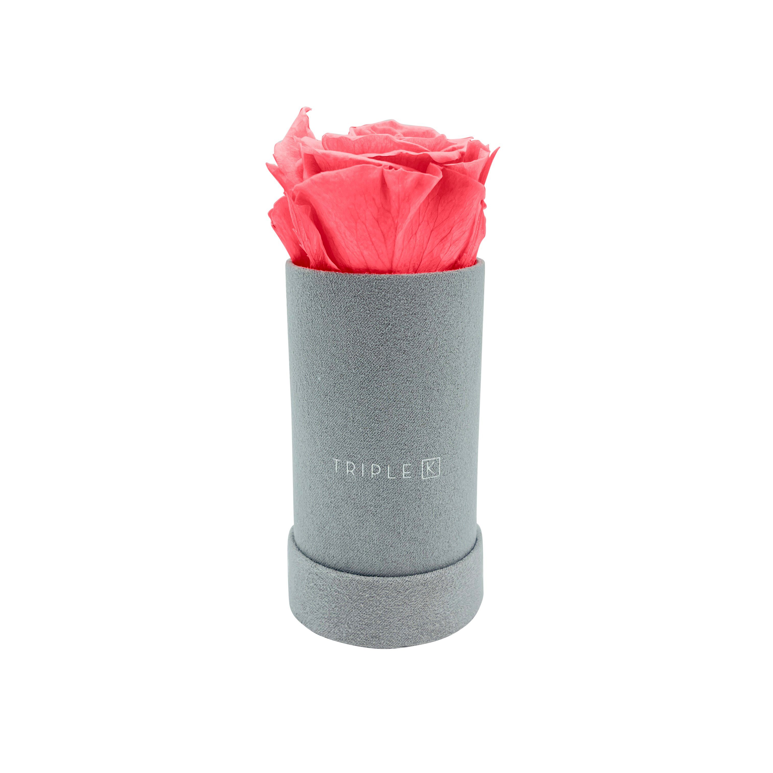 Kunstblume TRIPLE K - Rosenbox Velvet mit Infinity Rosen, bis 3 Jahre Haltbar, Flowerbox mit konservierten Rosen, Blumenbox Inkl. Grußkarte Infinity Rose, TRIPLE K Rosa
