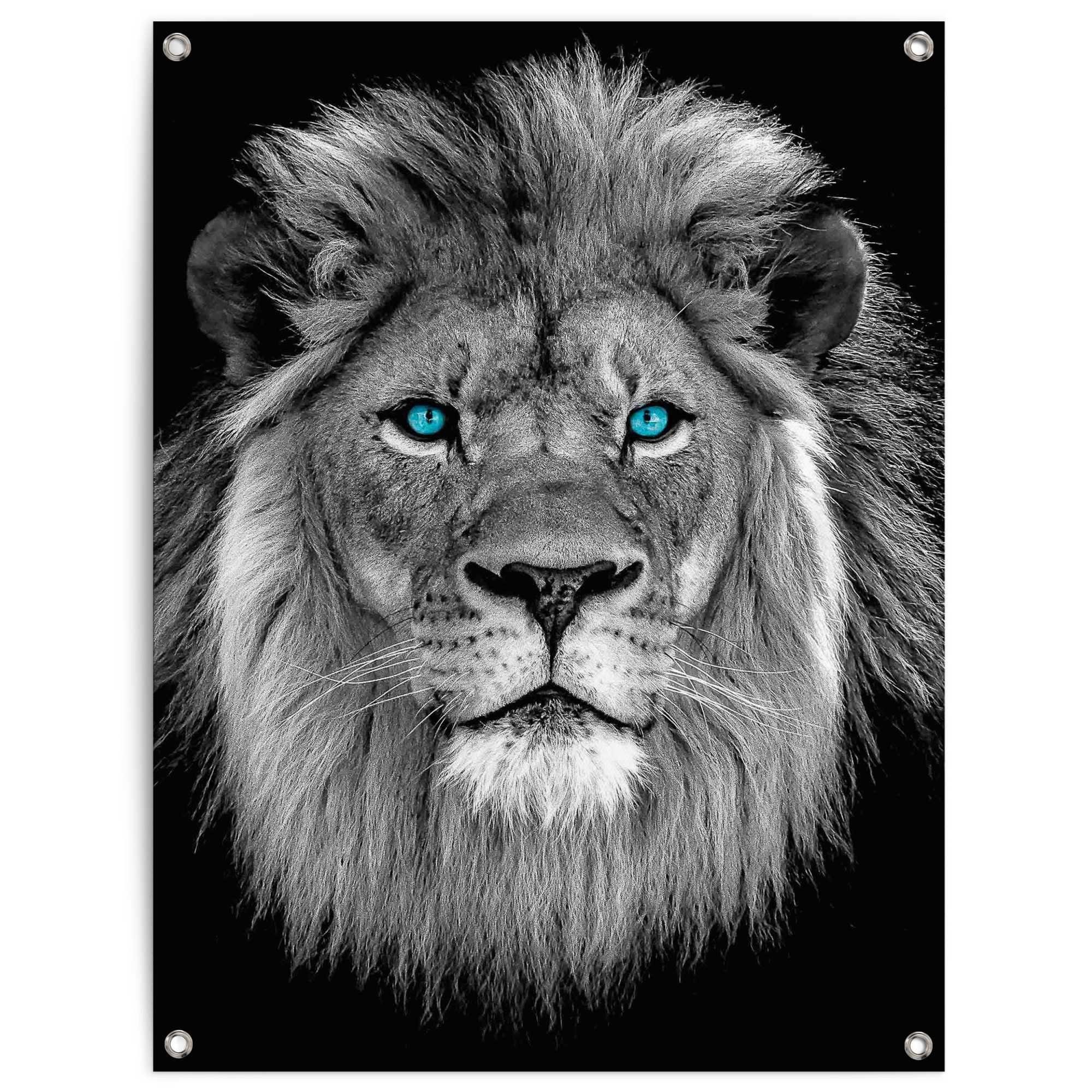 Reinders! Poster Löwe mit blaue Augen, Outdoor für Garten oder Balkon