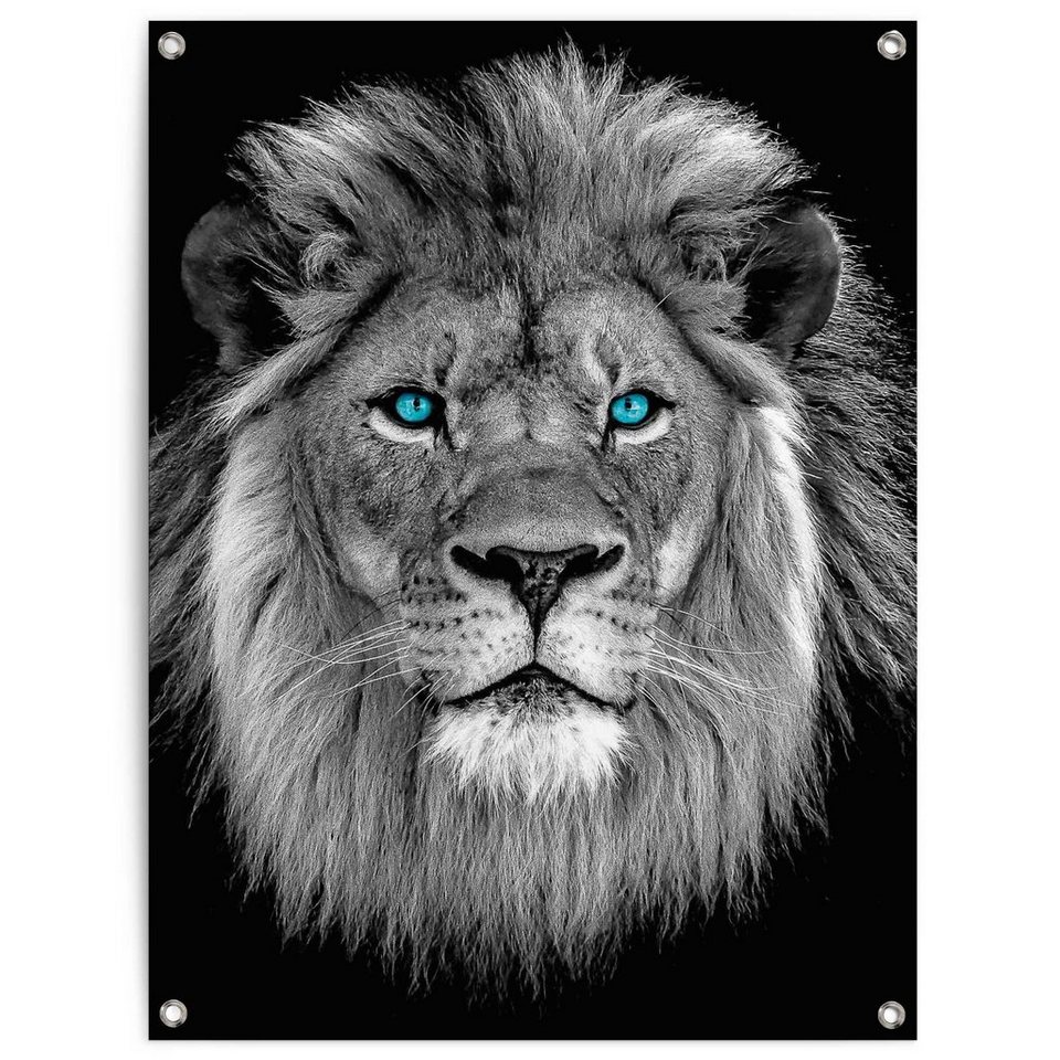 Reinders! Poster Löwe mit blaue Augen, Outdoor für Garten oder Balkon