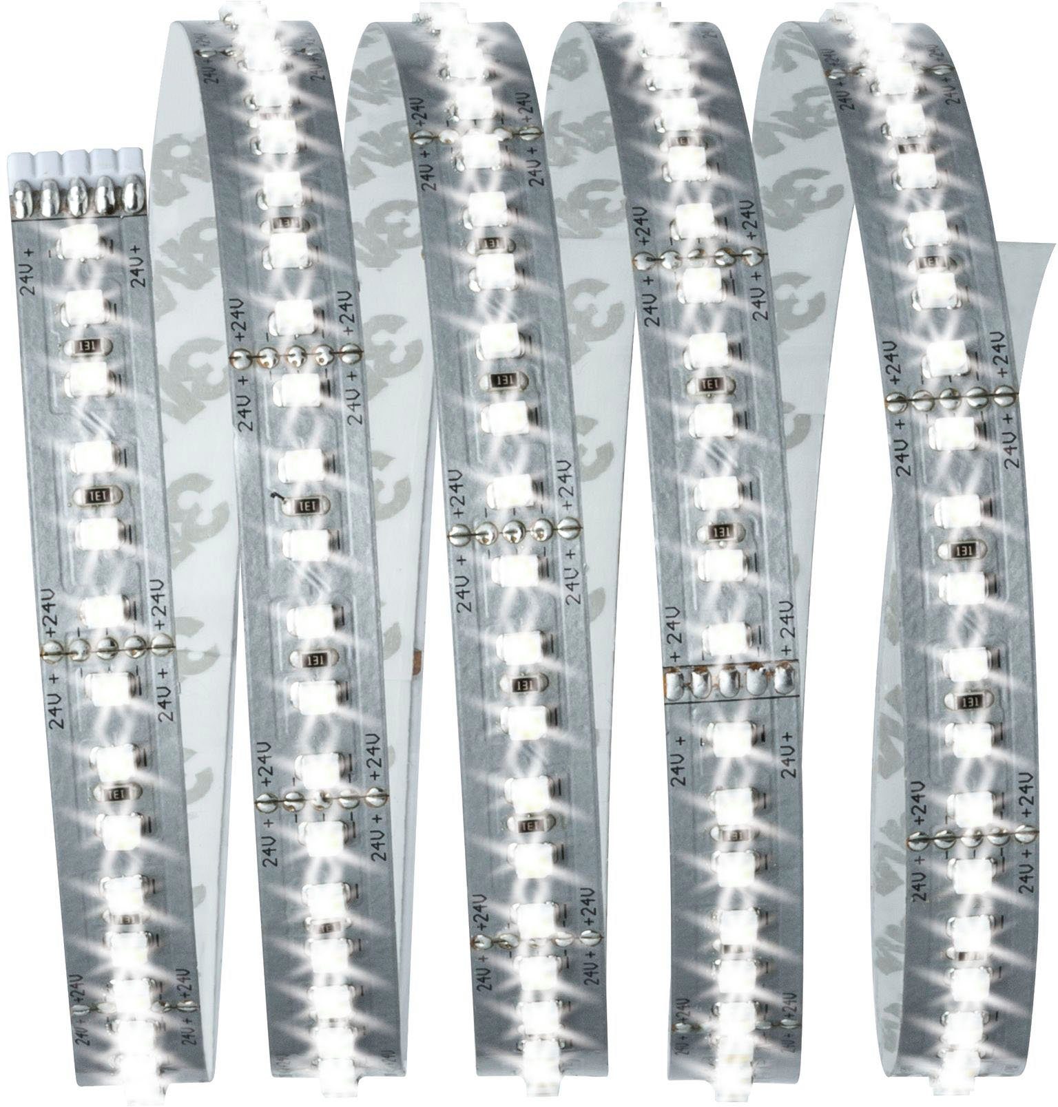 Paulmann LED-Streifen MaxLED 1000 Basisset 1,5m Tageslichtweiß 18W 1100lm/m 6500K, 1-flammig, Basisset,Tageslichtweiß 18W 1100lm/m 6500K