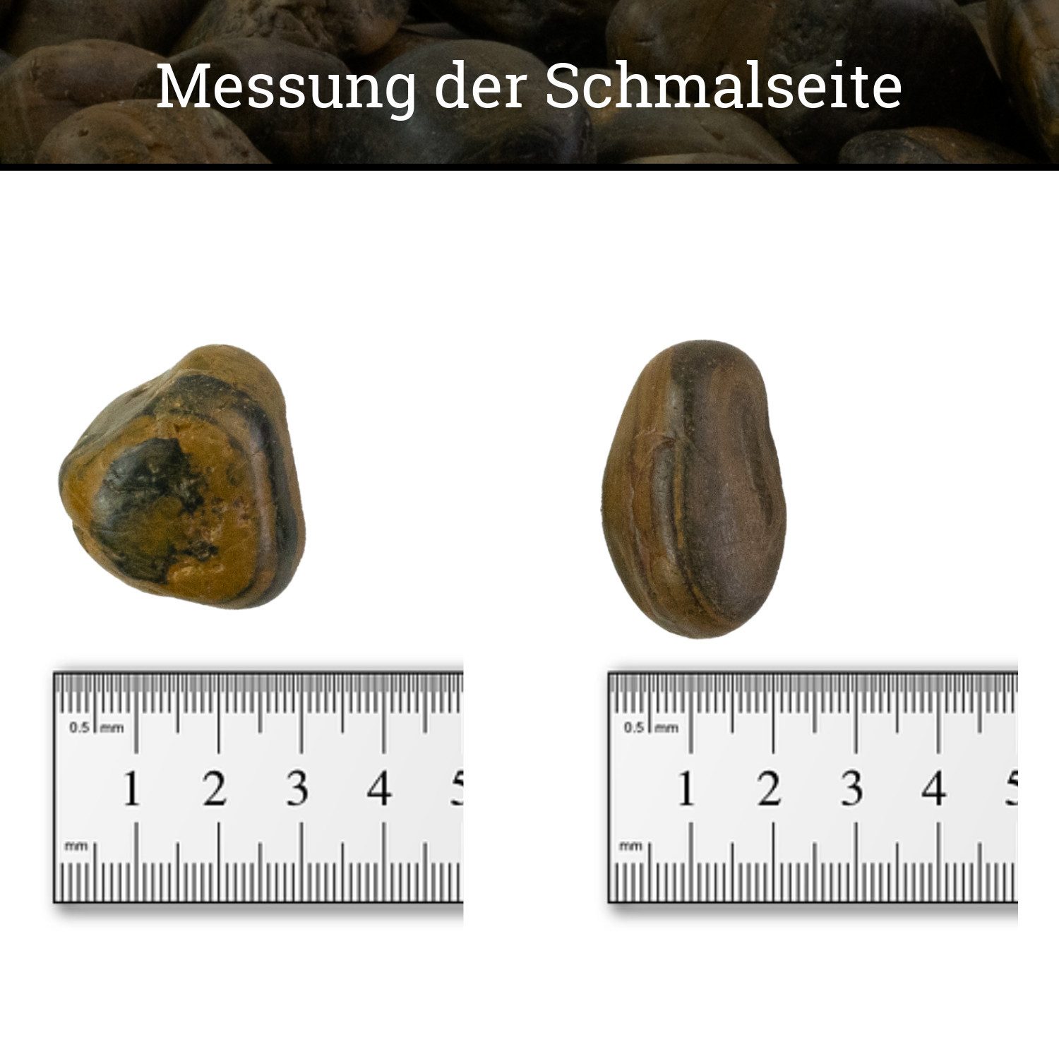 INTERGARDEN Zierkies Dekosteine braun poliert 20 kg, Kieselsteine Garten 2-3 cm, (Sack)