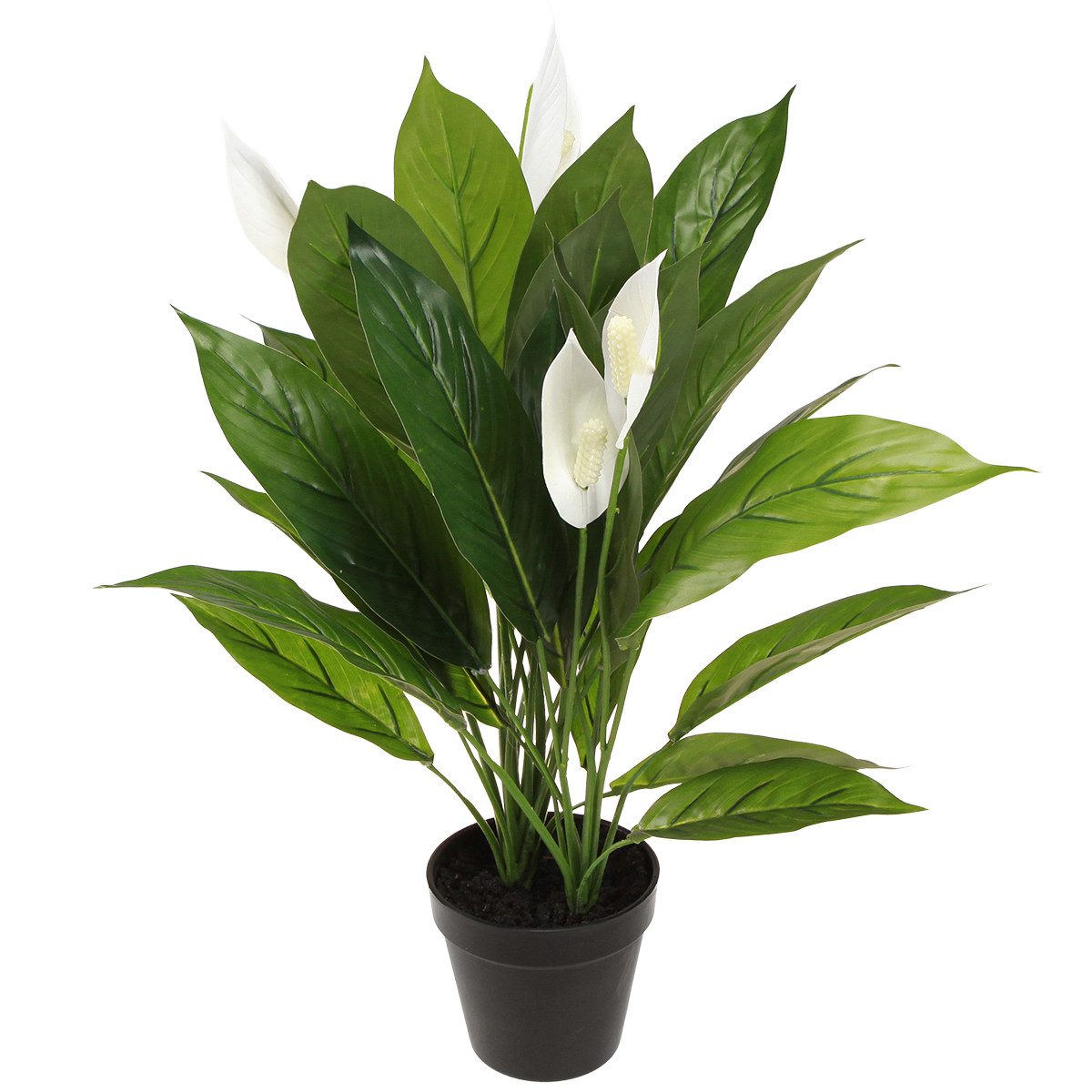 Künstliche Zimmerpflanze Künstliche Friedenslilie Deko-Blume Topf günstig online kaufen