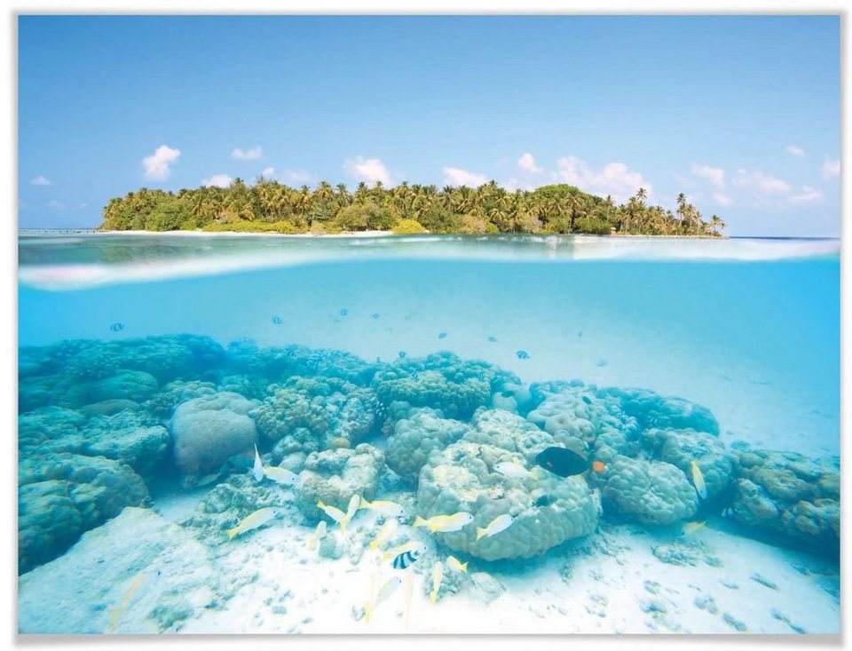 Wall-Art Poster Unterwasserwelt Malediven, Meer (1 St), Poster, Wandbild,  Bild, Wandposter