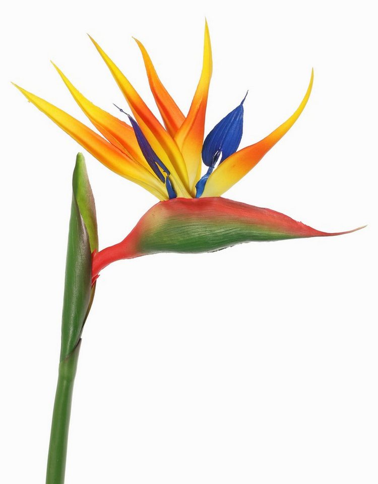 Kunstblume Künstliche Papageienblume LATIFA, orange-violett, 80 cm, 17x20 cm Strelitzie, artplants, Höhe 90.0 cm