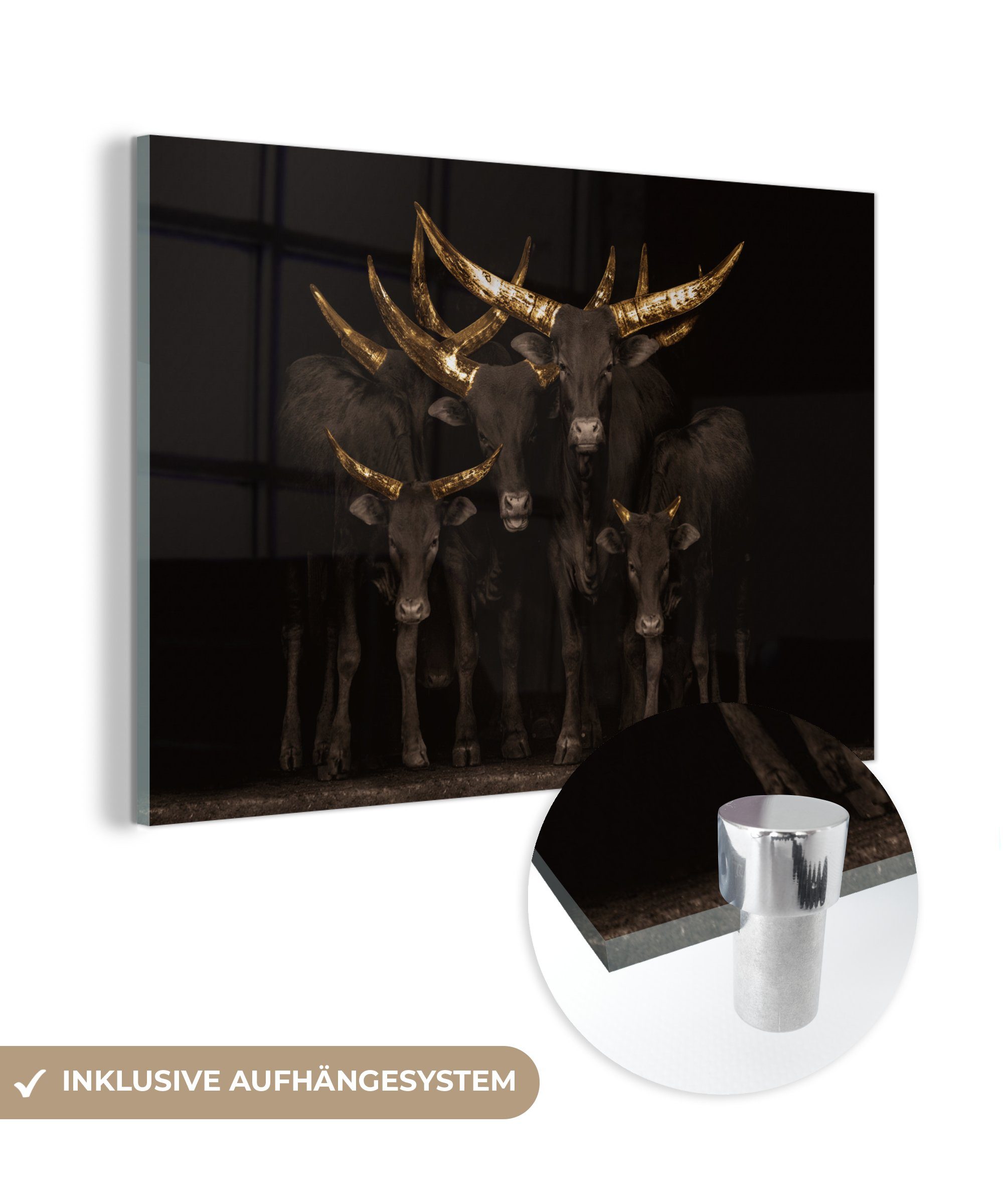 MuchoWow Acrylglasbild Kühe - Hörner - Gold, (1 St), Glasbilder - Bilder auf Glas Wandbild - Foto auf Glas - Wanddekoration