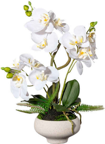 Kunstorchidee Orchidee Phalaenopsis im Keramiktopf, Creativ green, Höhe 50 cm
