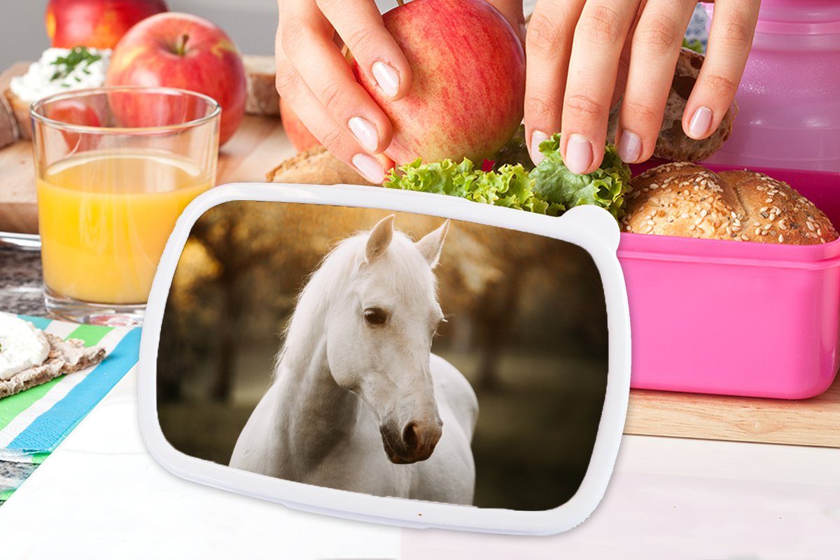 MuchoWow Lunchbox Pferd Snackbox, Herbst Kunststoff Natur, Brotdose Erwachsene, Kinder, für (2-tlg), - Sonne - - Kunststoff, Brotbox Tiere Mädchen, rosa 