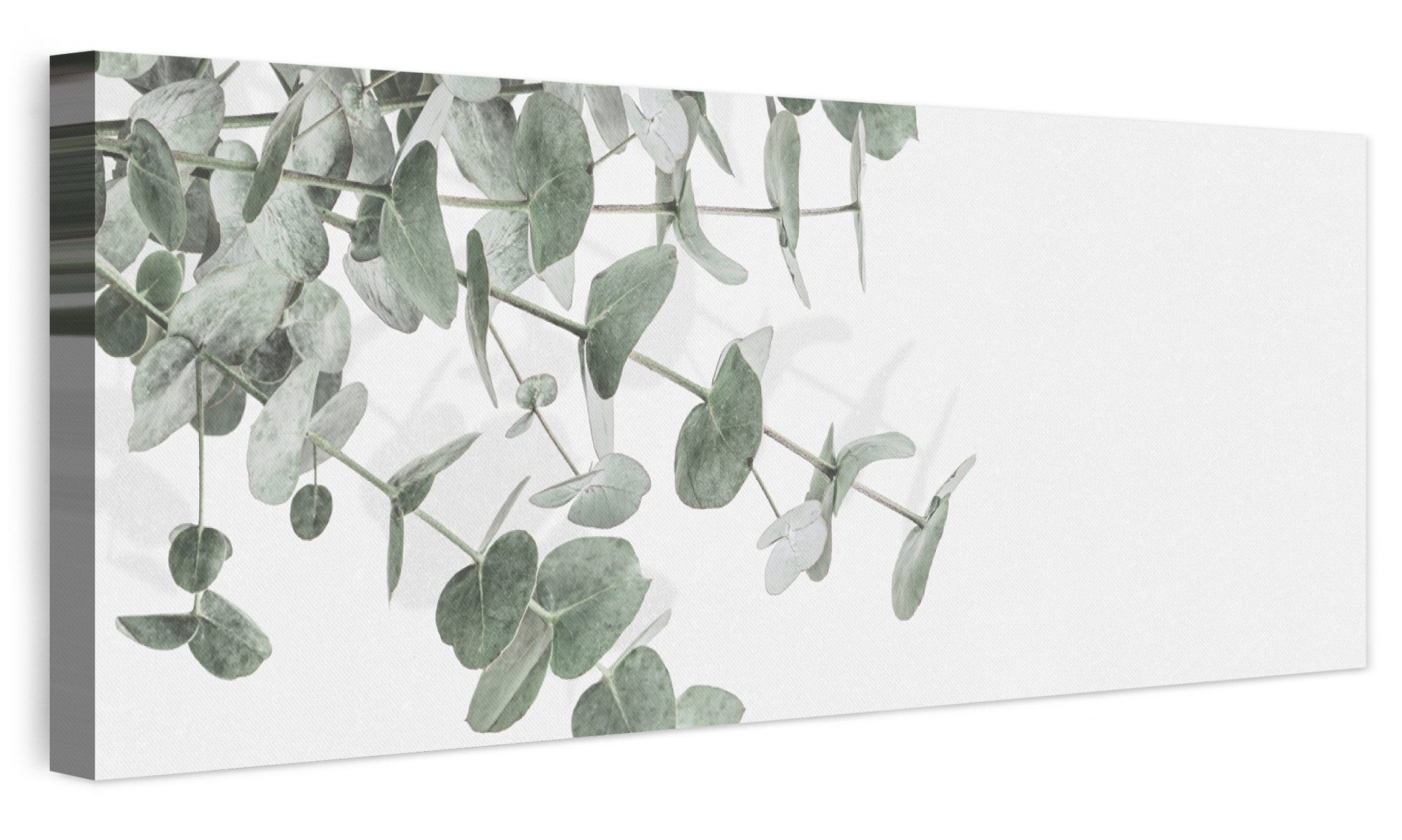 OneMillionCanvasses® Leinwandbild Panorama Eukalyptus - Blätter - Natur - Grün, Fotodruck (1 St), Wandbild, Deko Schlafzimmer Wohnzimmer …