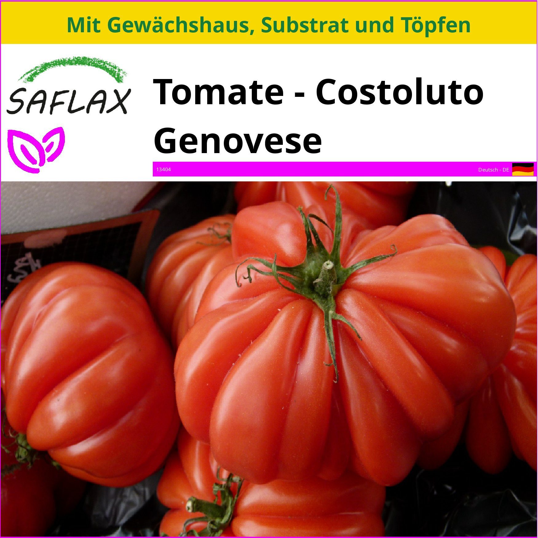 SAFLAX Gemüsesamen SAFLAX - Anzuchtset - Tomate - Costoluto Genovese