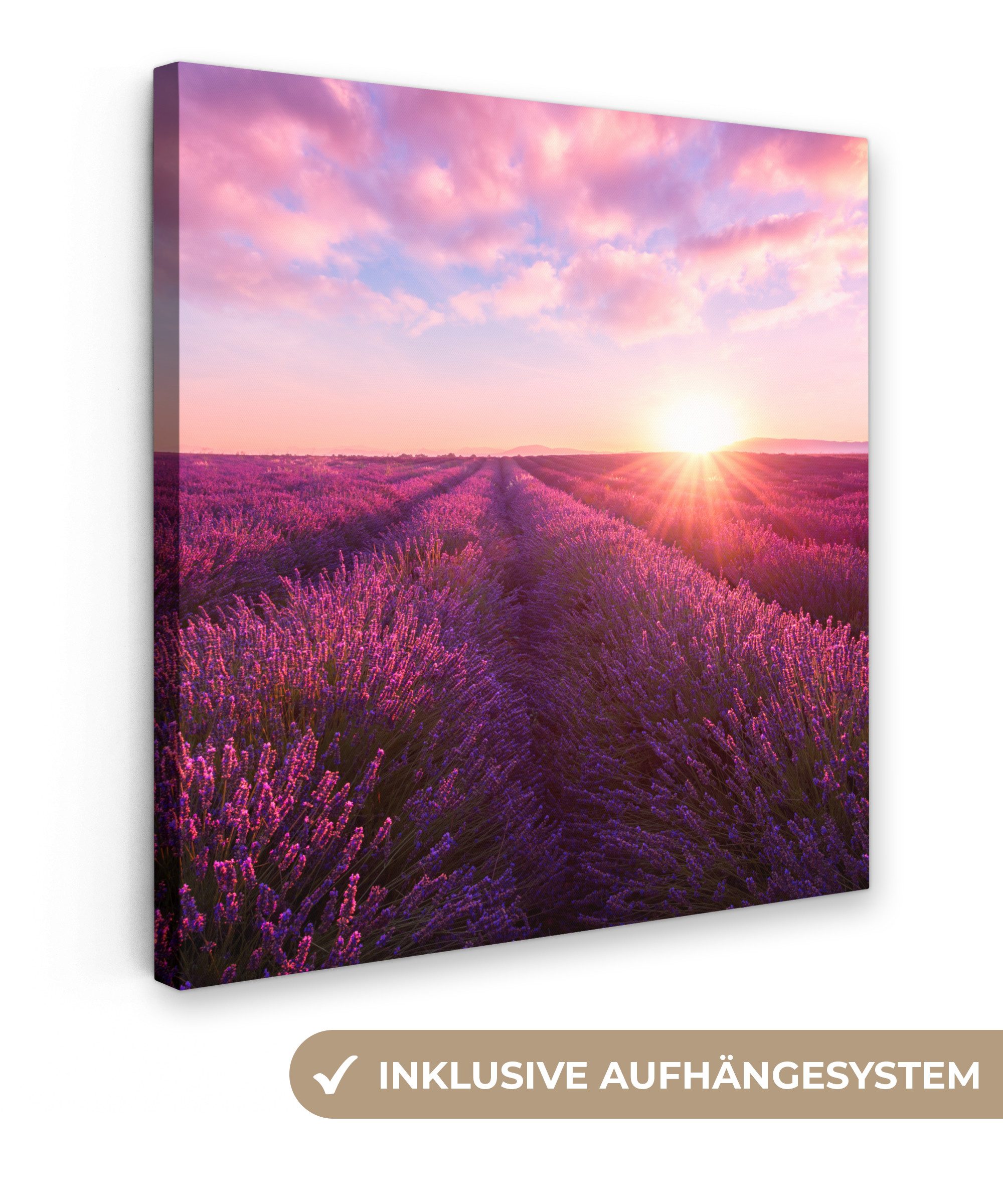 OneMillionCanvasses® Leinwandbild Lavendel - Blumen - Frankreich, Fotodruck günstig online kaufen