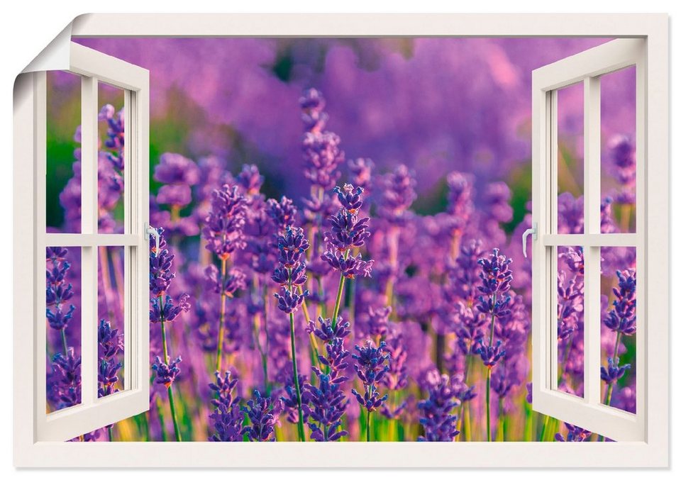 Artland Wandbild Fensterblick Lavendelfeld in Tihany, Blumenwiese (1 St),  als Alubild, Leinwandbild, Wandaufkleber oder Poster in versch. Größen