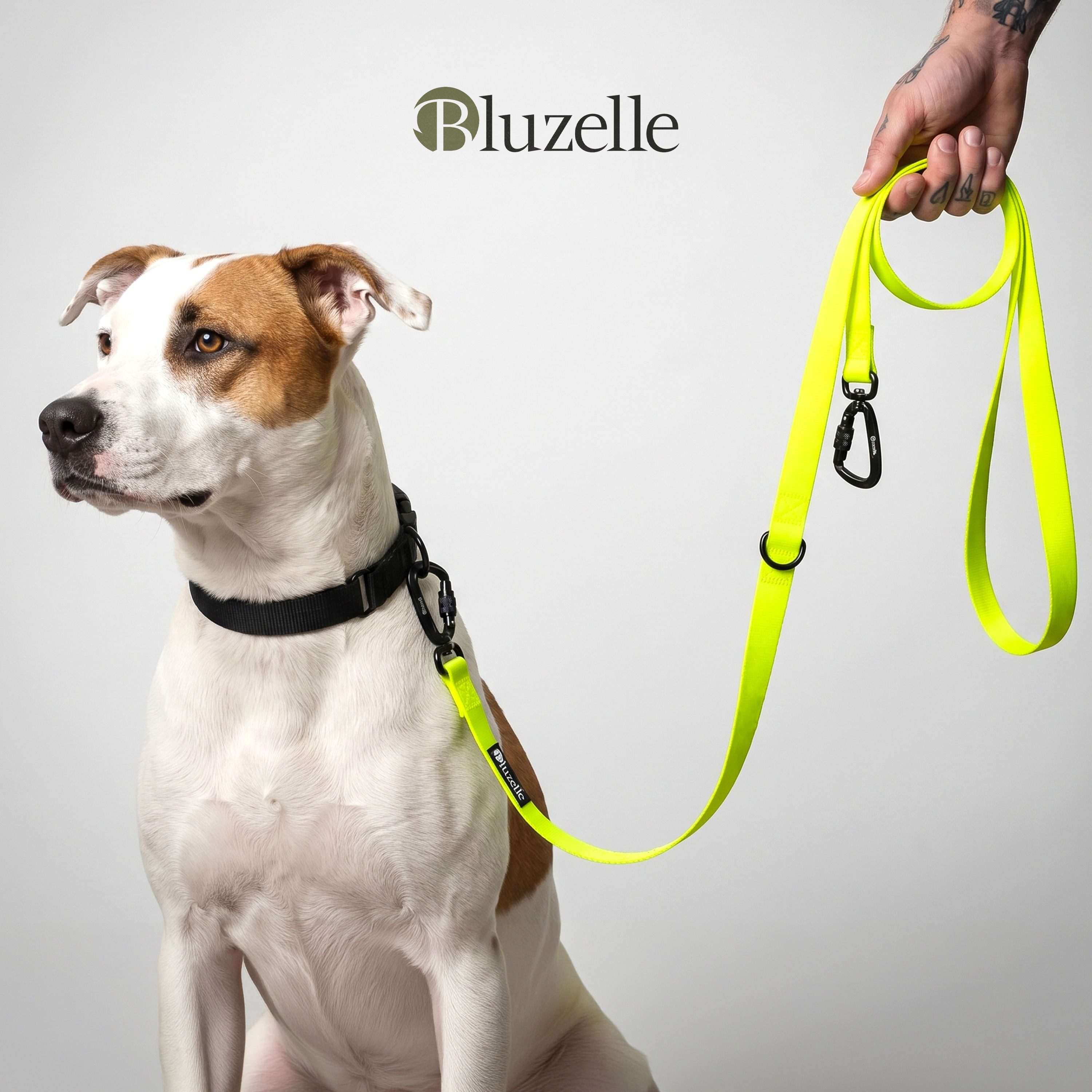 Bluzelle Führleine, Starke PVC Leine, 2 Große Aluminium Karabiner, Umhängeleine Freihändig, Hundeleine 3m Verstellbar Wasserdicht Umhängen, Mittlere & Große Hunde