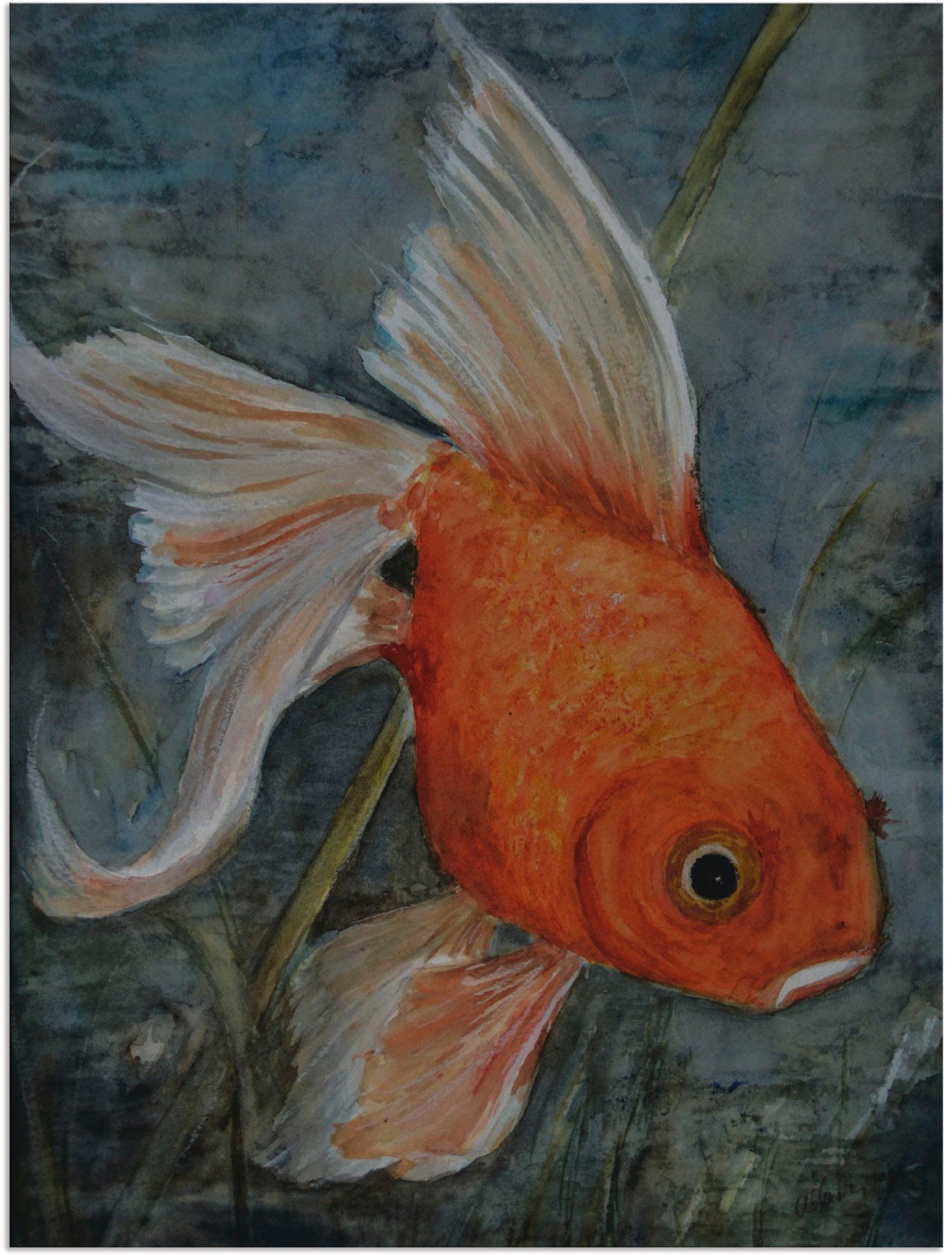 Artland Wandbild Feng Shui - Leinwandbild, oder versch. Größen (1 Goldfisch, Poster Alubild, als Wassertiere in St), Wandaufkleber