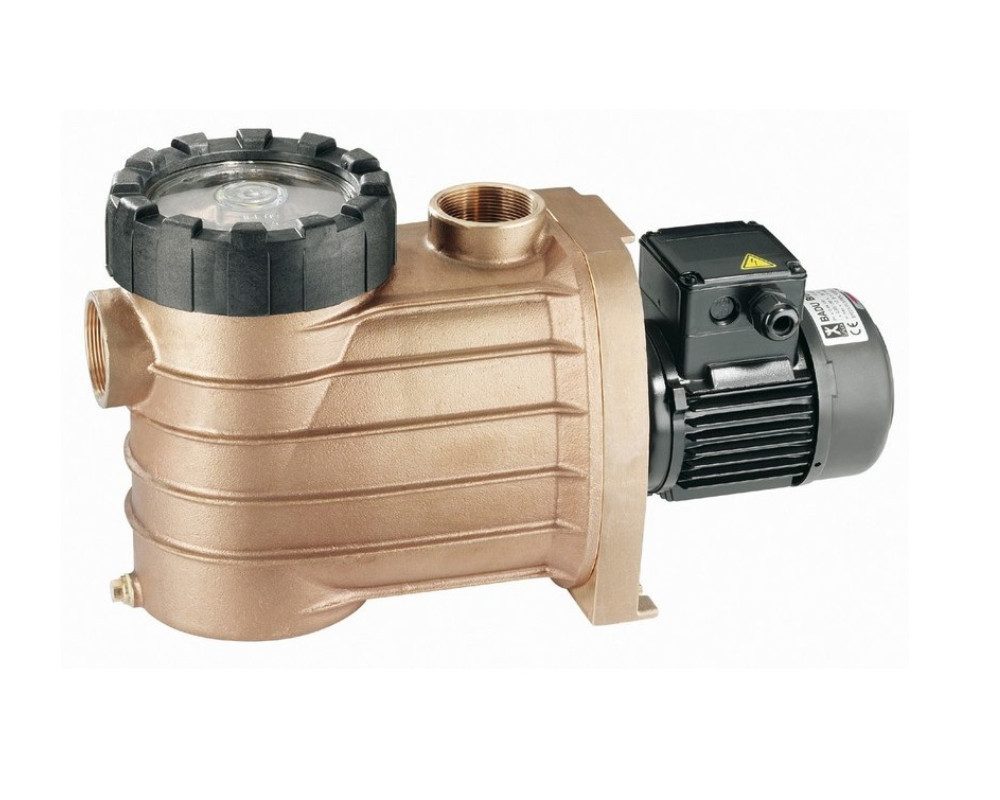 Speck Pumpen Filterpumpe Speck BADU Bronze 22 230 V Schwimmbad Poolpumpe