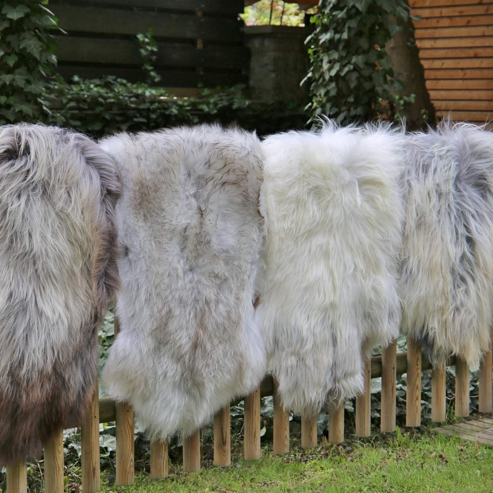 Hollert Fellteppich, Schaffelltierform, Lammfell Island gescheckt günstig online kaufen