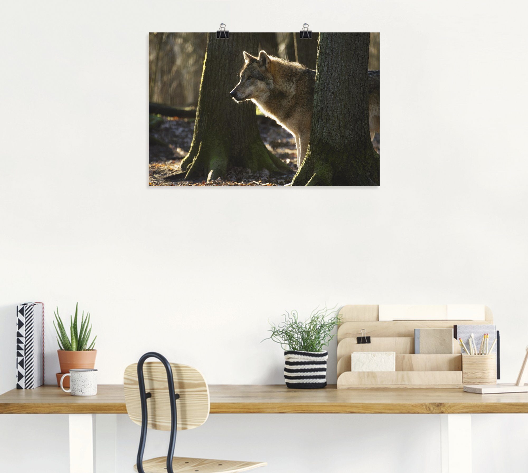 St), versch. Wandbild Wolf, Größen Artland Wandaufkleber Alubild, oder Leinwandbild, der Lupus Canis als Wildtiere in (1 Poster