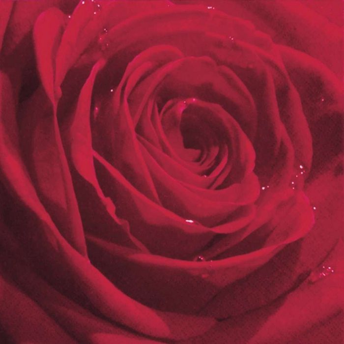Linoows Papierserviette 20 Servietten Sommer Prächtige Gefüllte Rote Rosenblüte Motiv Prächtige Gefüllte Rote Rosenblüte