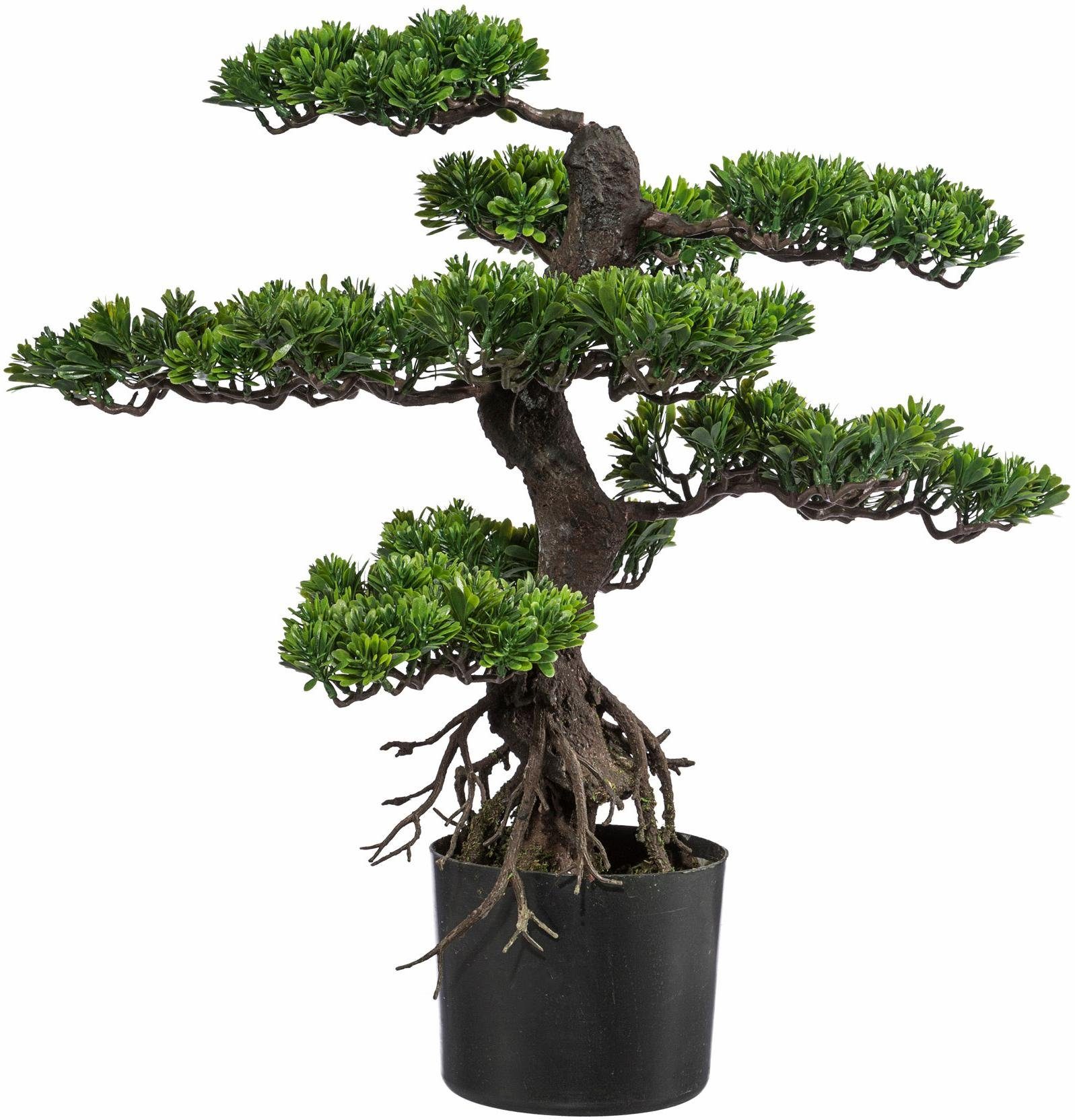 Kunstbonsai Bonsai Bonsai, Creativ green, Höhe 65 cm günstig online kaufen