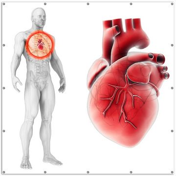 Wallario Sichtschutzzaunmatten Anatomie des Menschen  Herz in Nahansicht