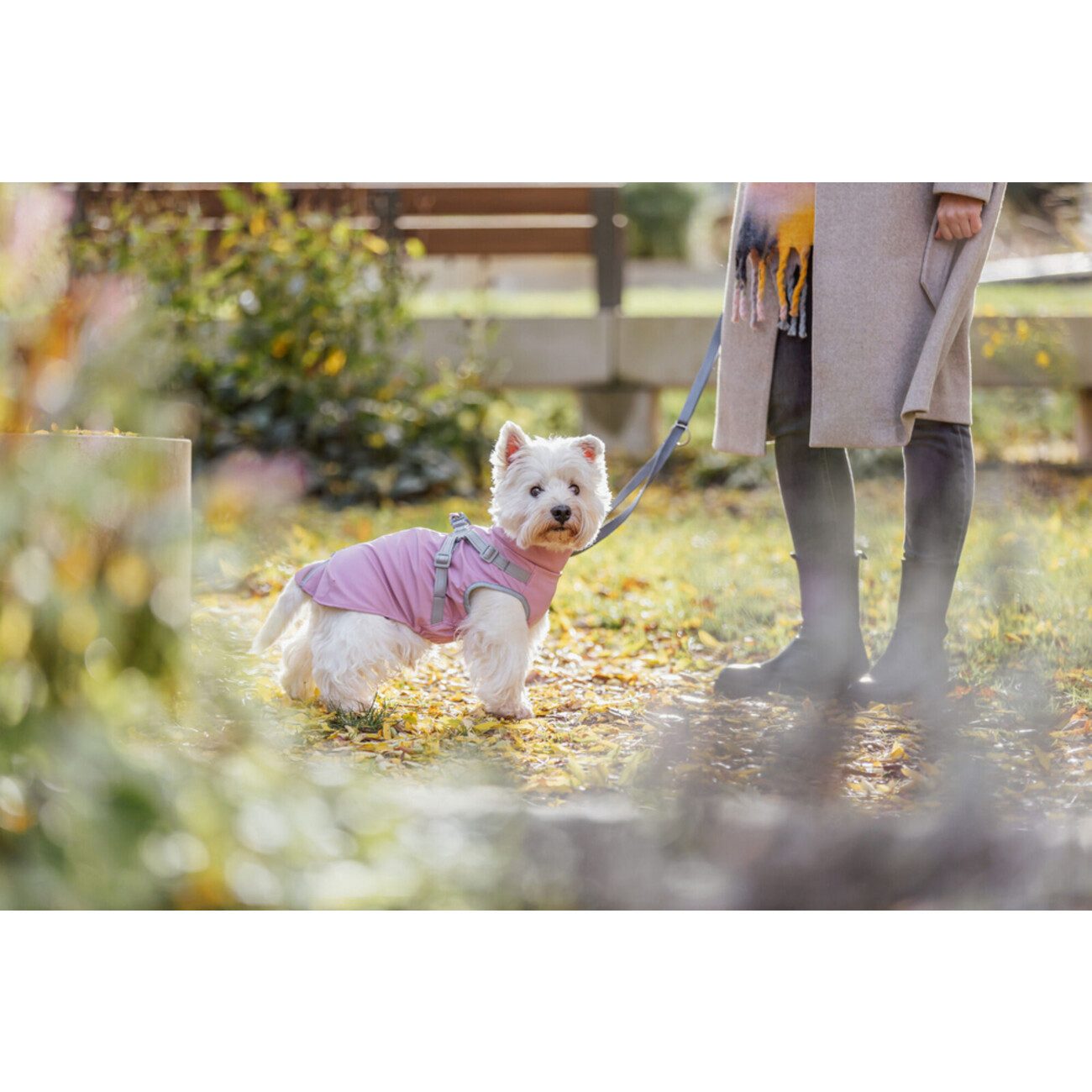 TRIXIE Hundemantel Geschirrmantel Regenmantel Pontis Rain