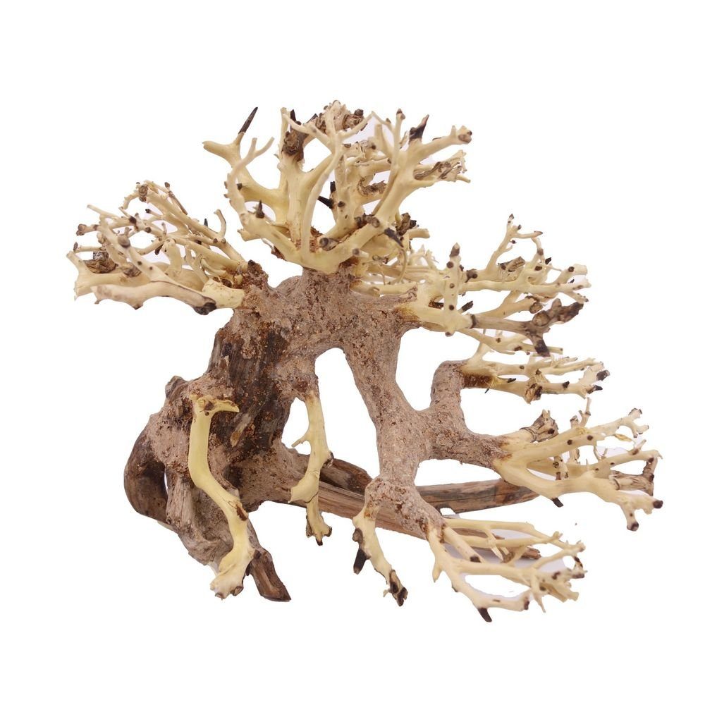 Aquaone Aquarium M Bonsai Baum Nr.10530 Wurzel Holz Aquarium Deko