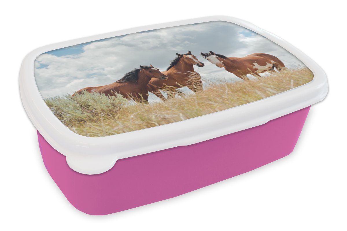 MuchoWow Lunchbox Drei Mustang-Pferde schauen in die Kamera, Kunststoff, (2-tlg), Brotbox für Erwachsene, Brotdose Kinder, Snackbox, Mädchen, Kunststoff rosa