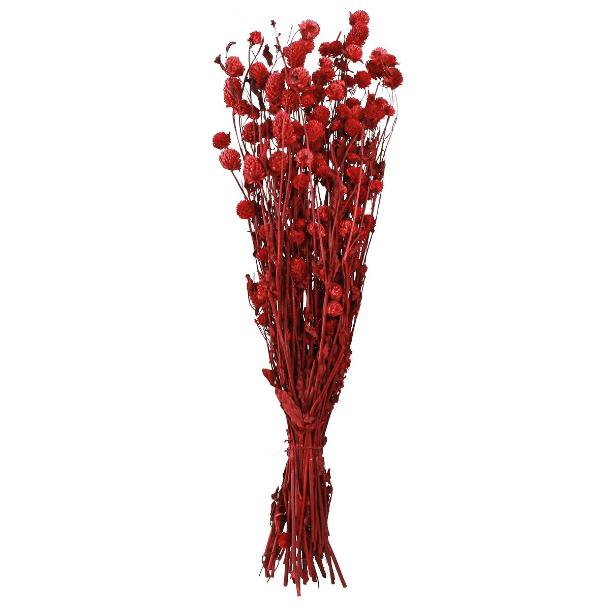 Trockenblume Kugelamarant Dunkelrot Kunstblumen 45cm 100g Deko, Viana, Höhe 3 cm