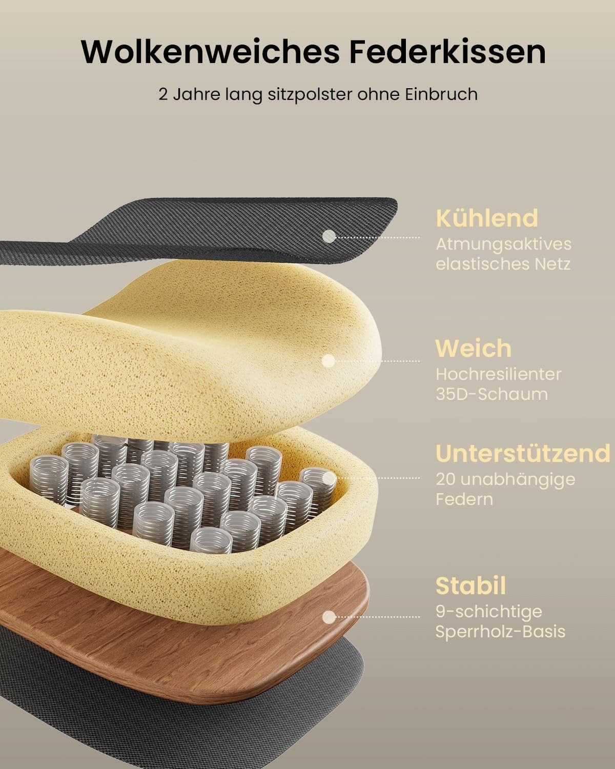 ProtoArc Bürostuhl EC100 Ergonomischer Bürostuhl Mesh mit 10 cm dickem Federkissen (Set), Verstellbarer Armlehne & Kopfstütze für Home-Office