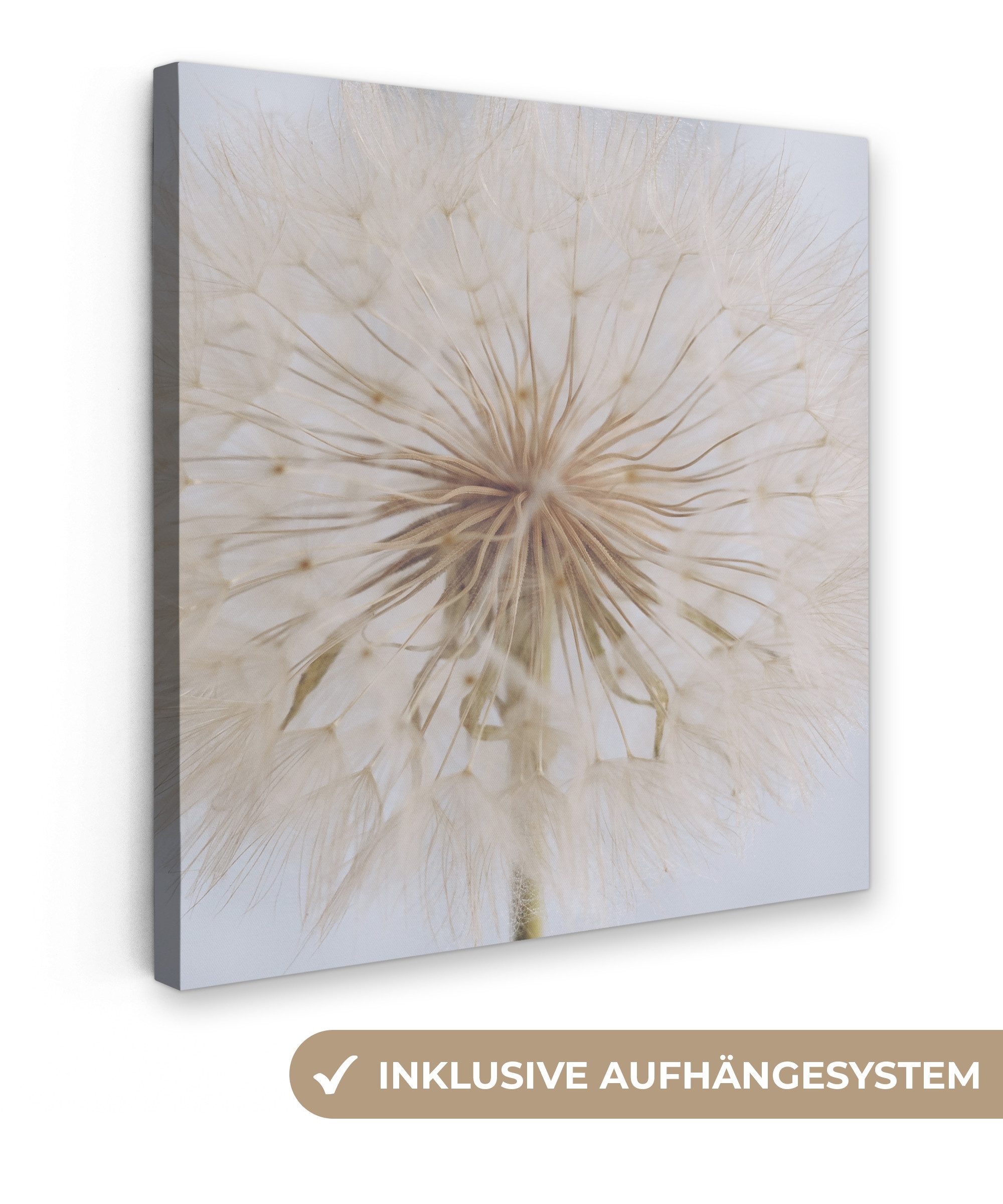 OneMillionCanvasses® Leinwandbild Blumen - Löwenzahn - günstig online kaufen