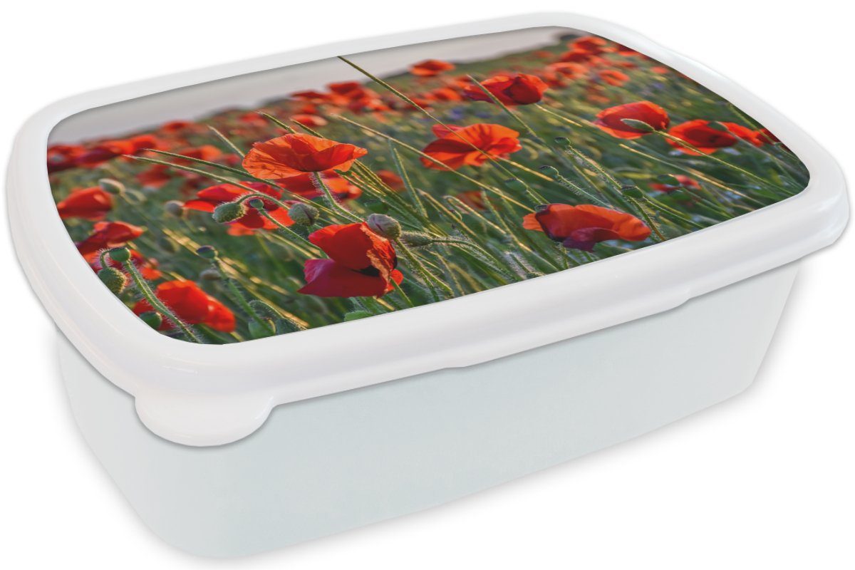MuchoWow Lunchbox Blumen - und Erwachsene, Kinder Brotbox Brotdose, Mohnblumen Kunststoff, Jungs für - Mädchen - weiß Rot, für (2-tlg), Natur und